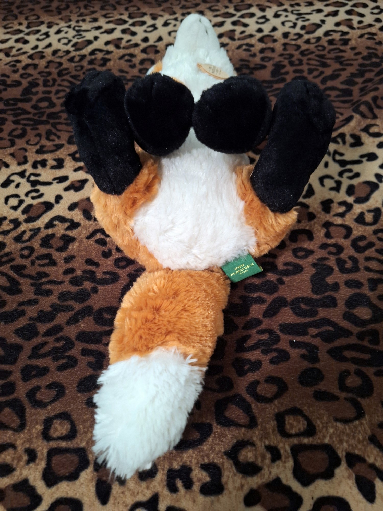 20240401_195457 (Copy)