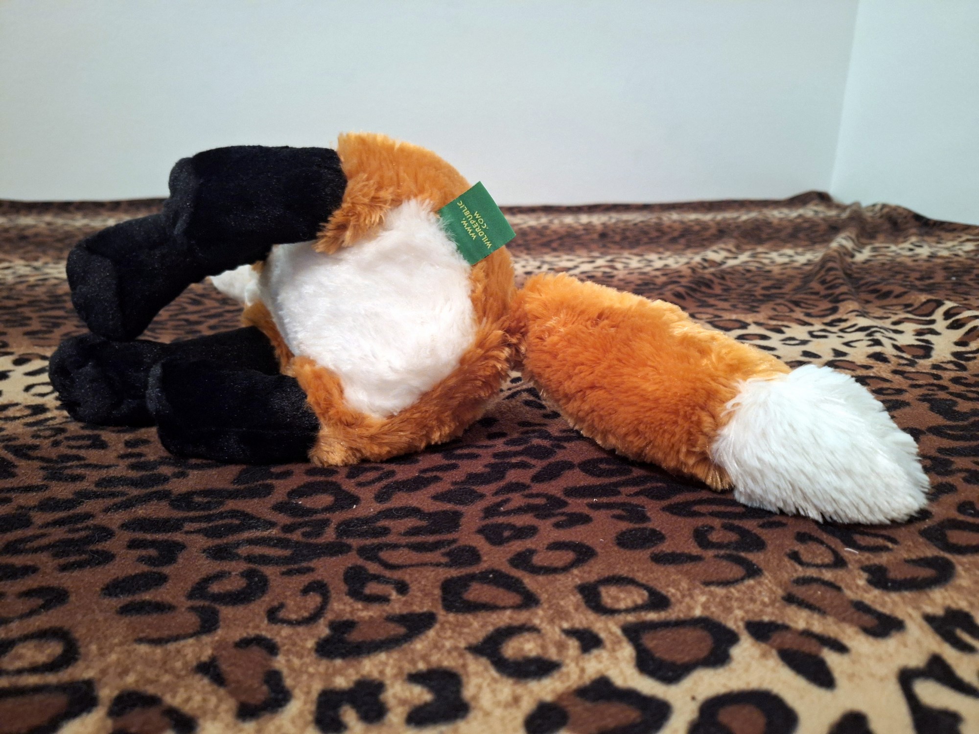 20240401_195504 (Copy)