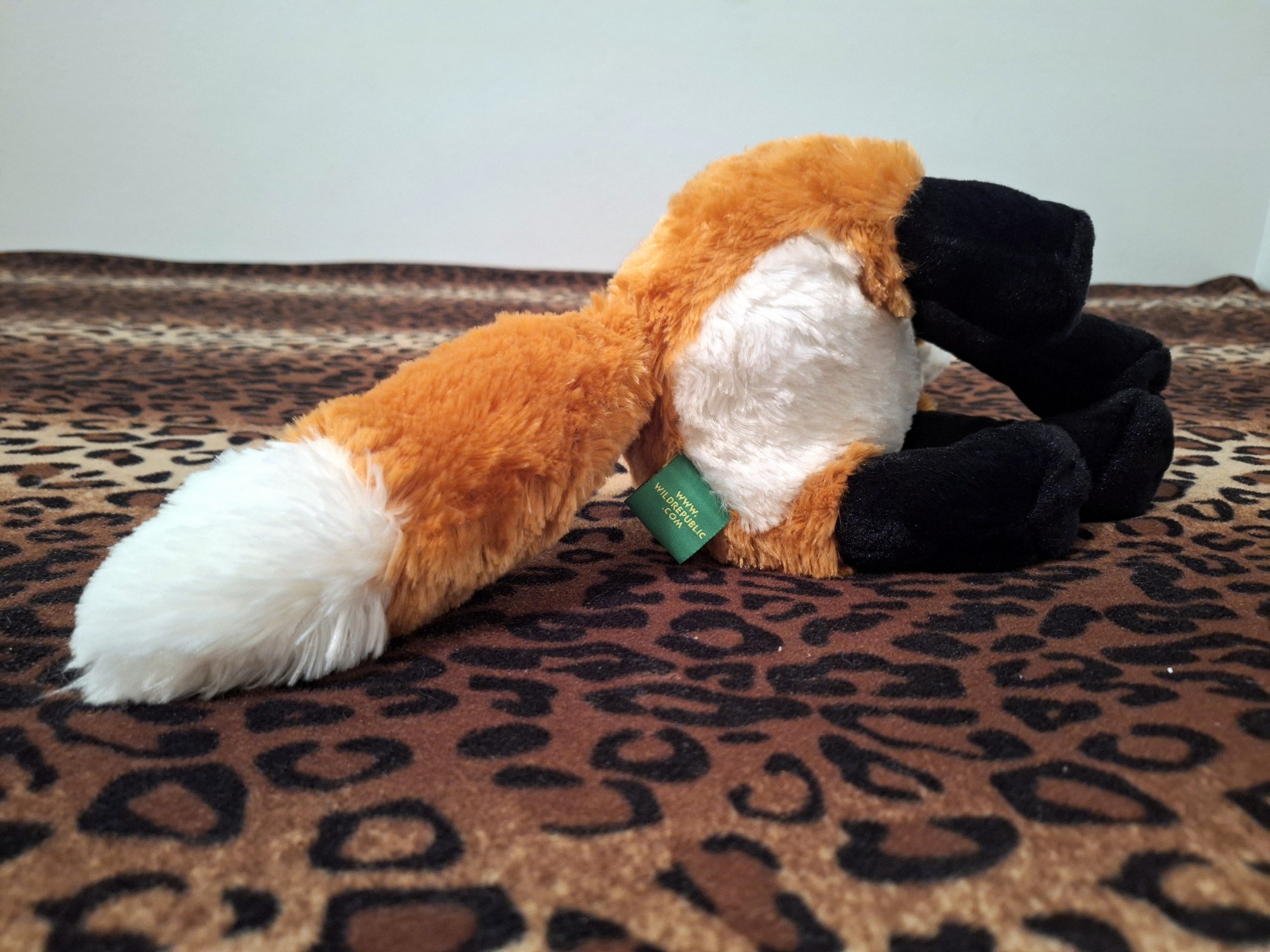 20240401_195509 (Copy)