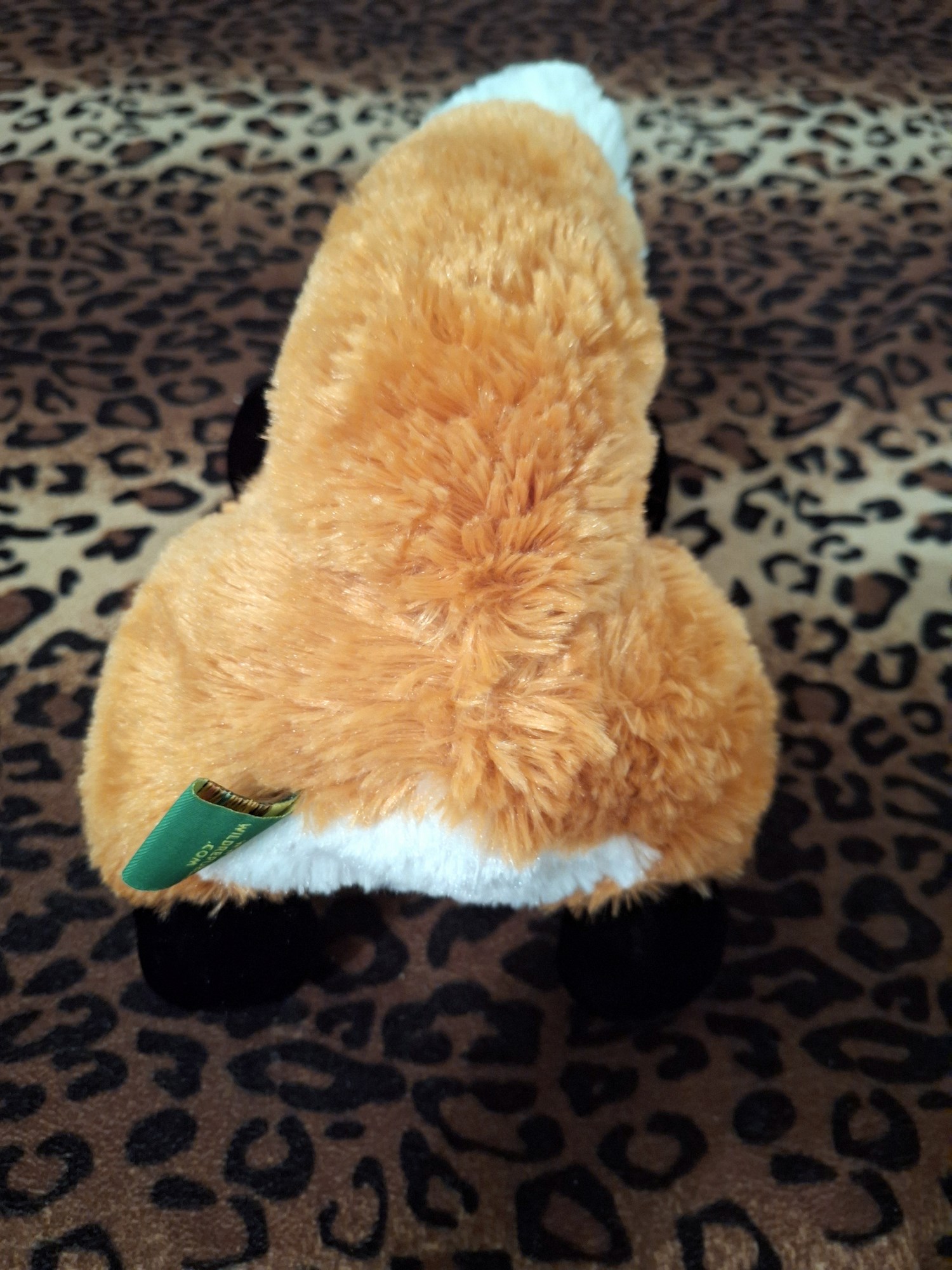 20240401_195525 (Copy)