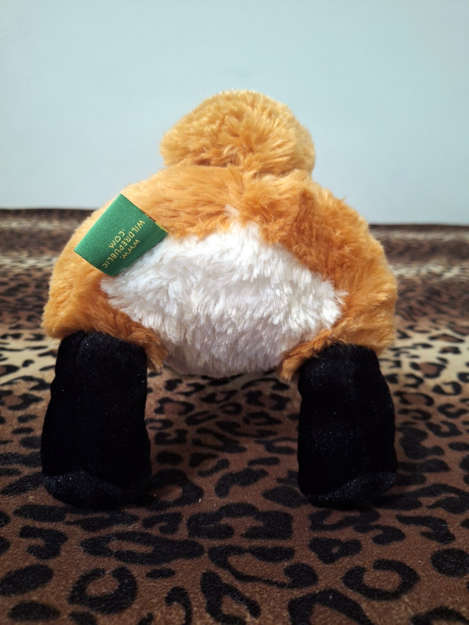 20240401_195533 (Copy)