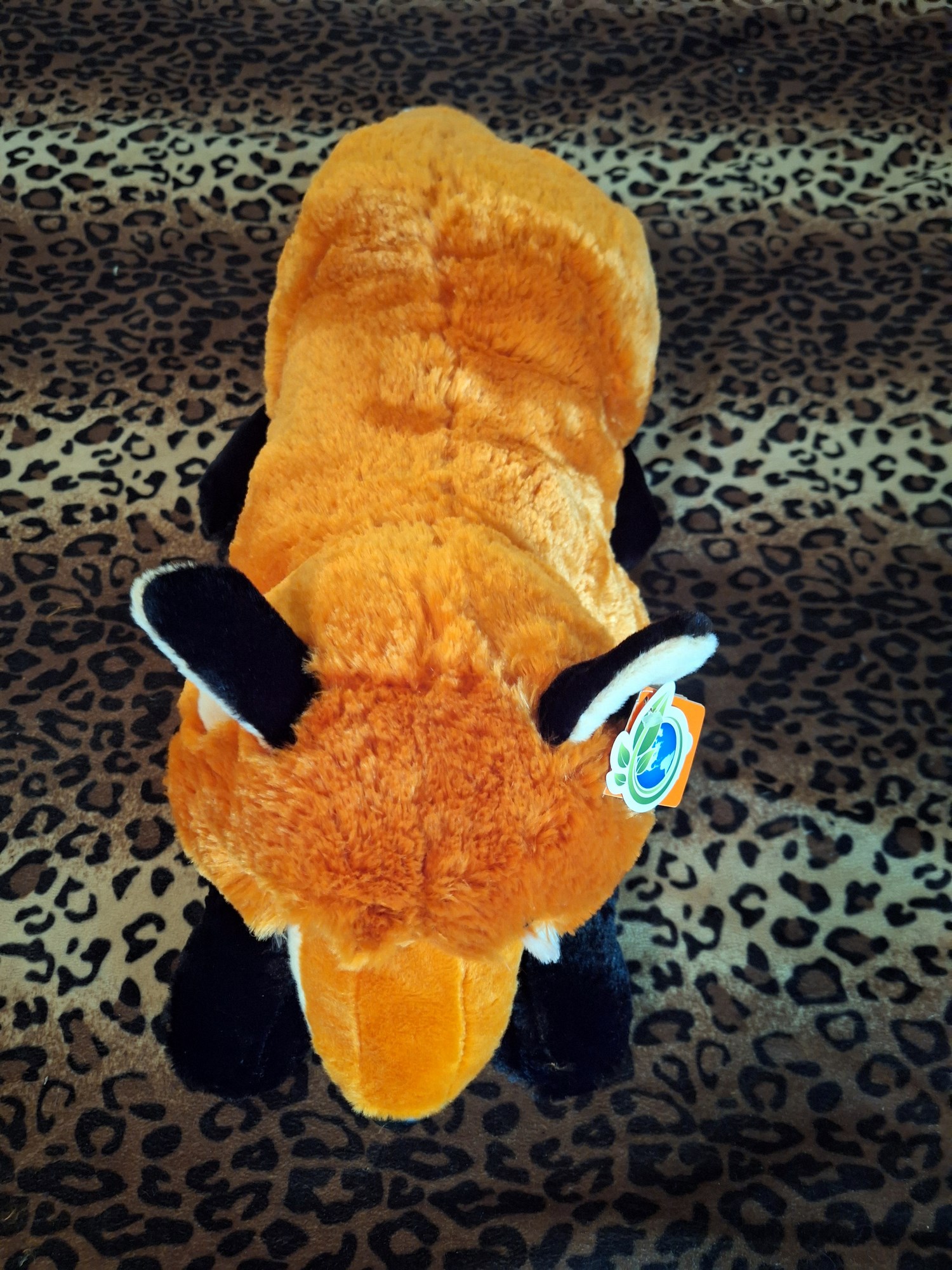 20240416_125851 (Copy)