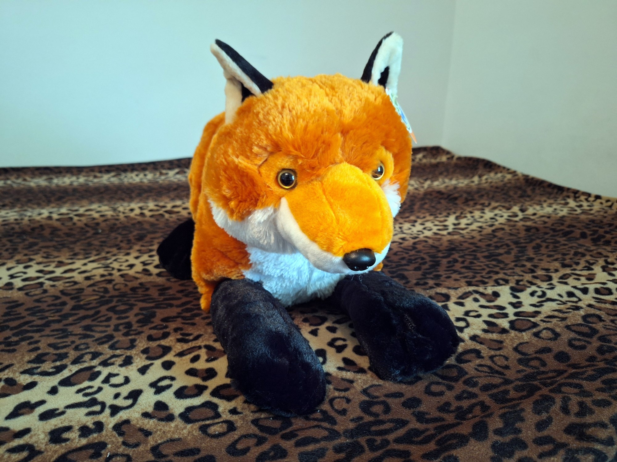 20240416_125919 (Copy)