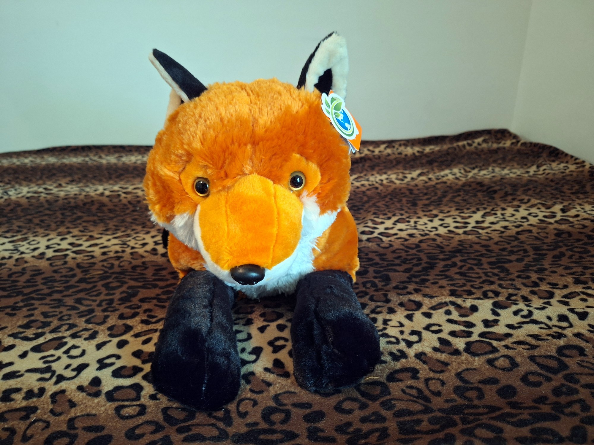 20240416_125921 (Copy)