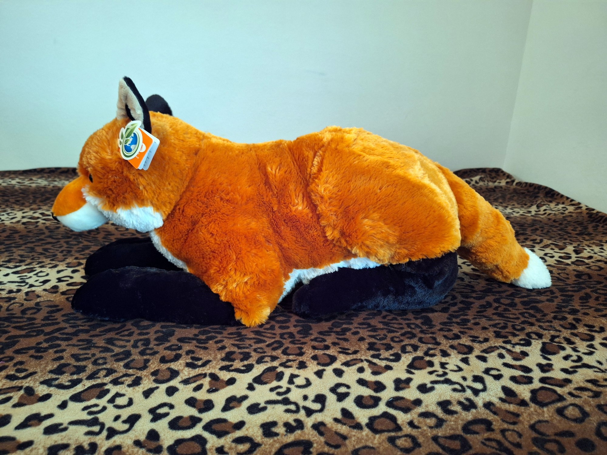 20240416_125941 (Copy)