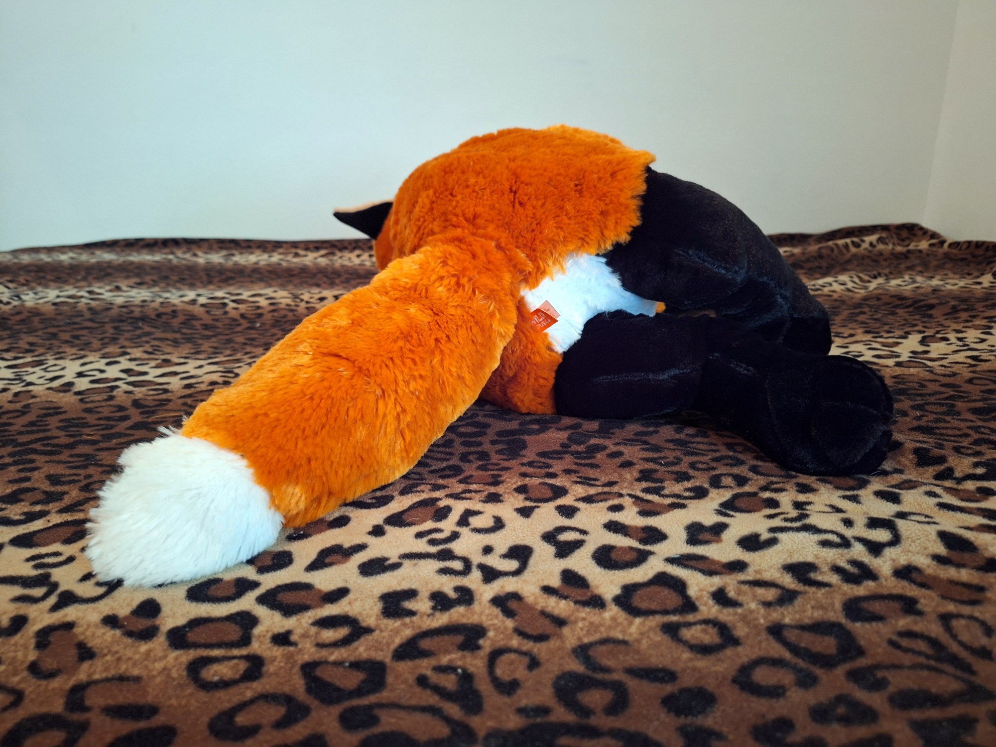 20240416_130157 (Copy)