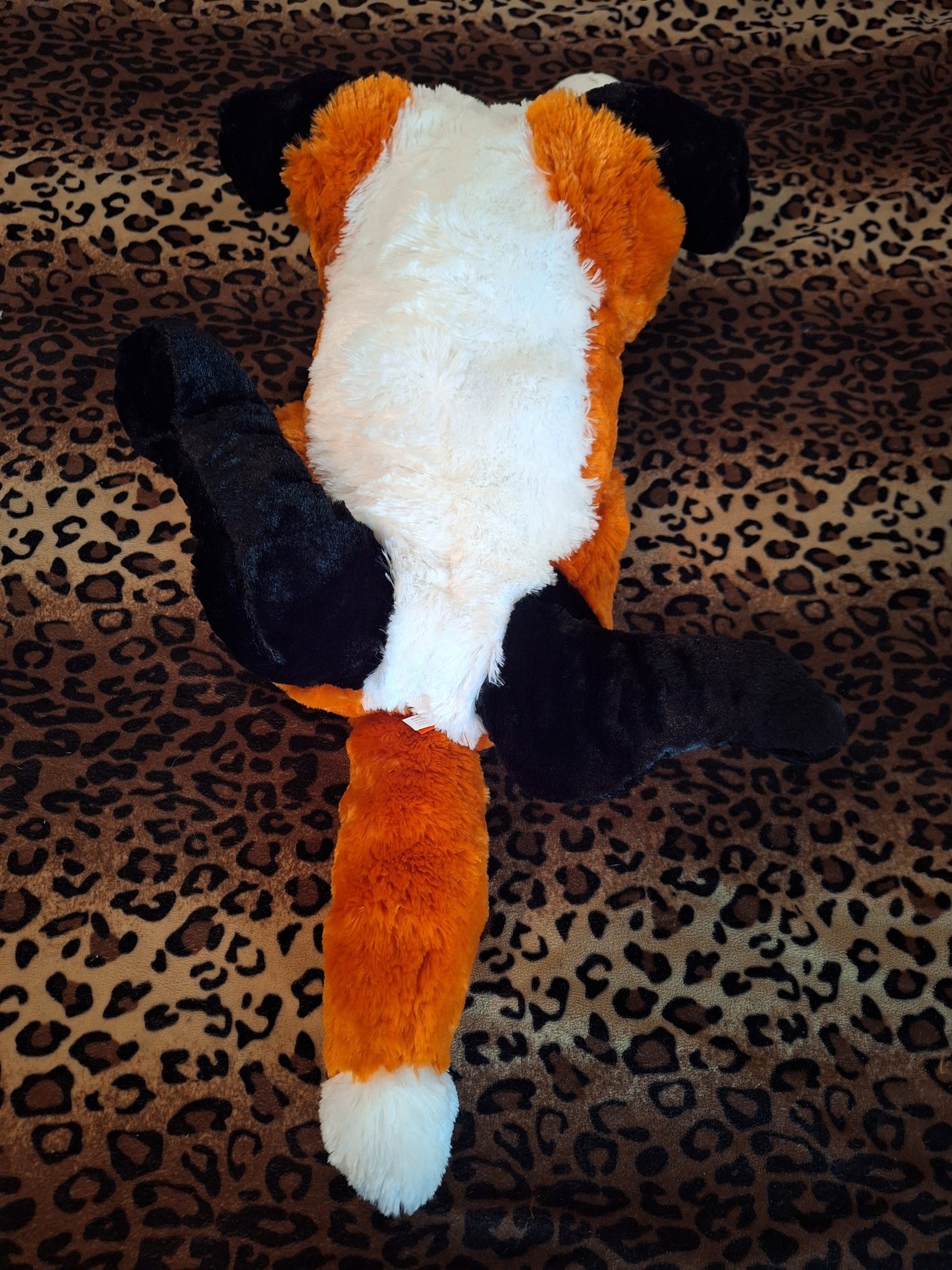 20240416_130236 (Copy)