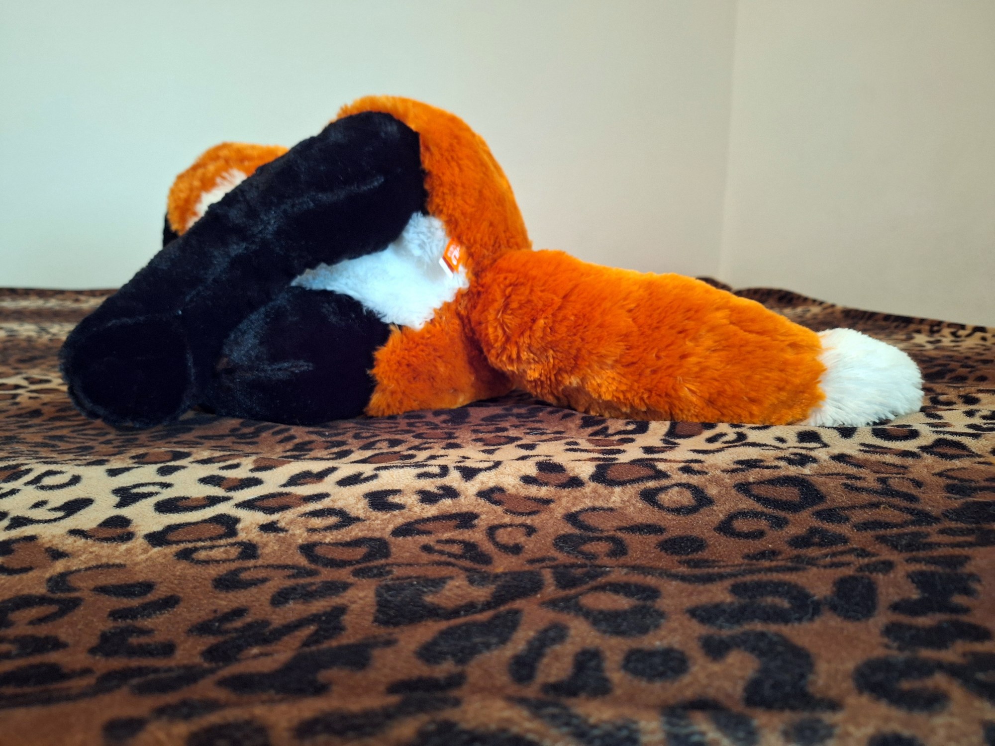 20240416_130258 (Copy)