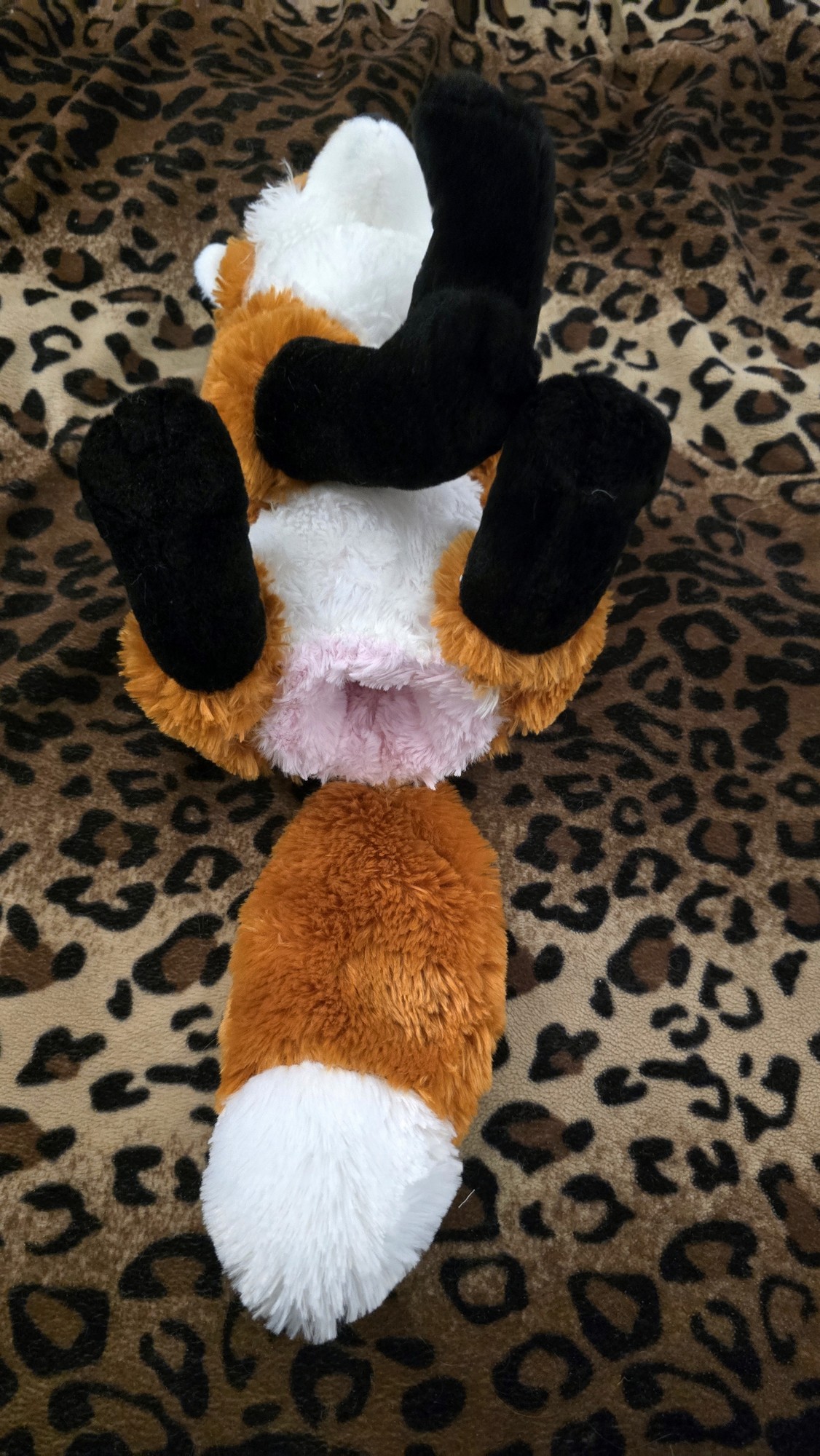 20251103_201008 (Copy)