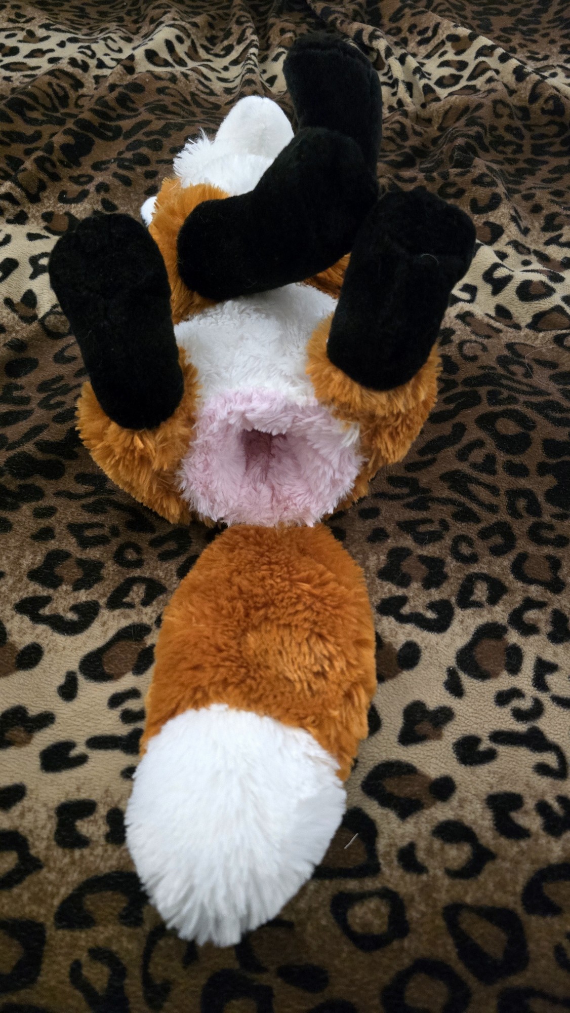 20251103_201010 (Copy)