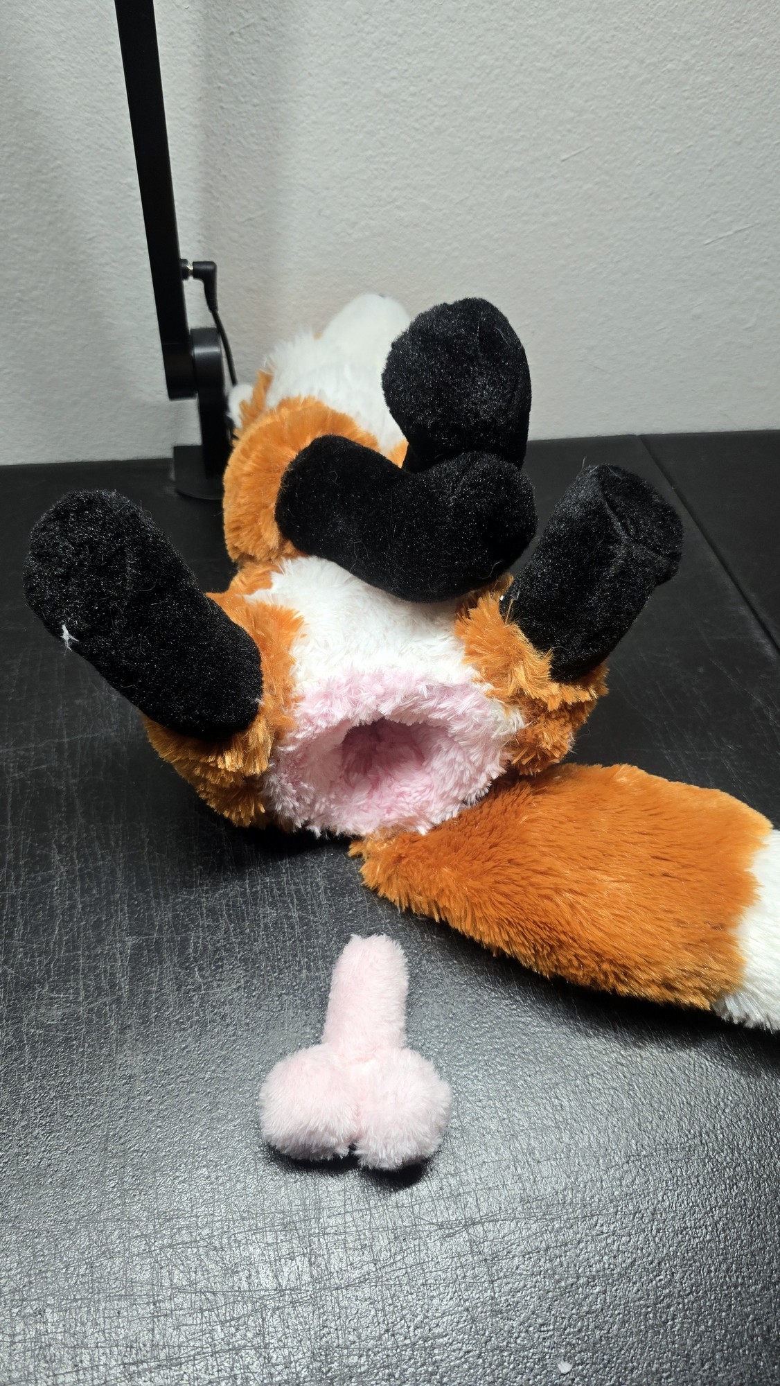 20251103_205235(1) (Copy)