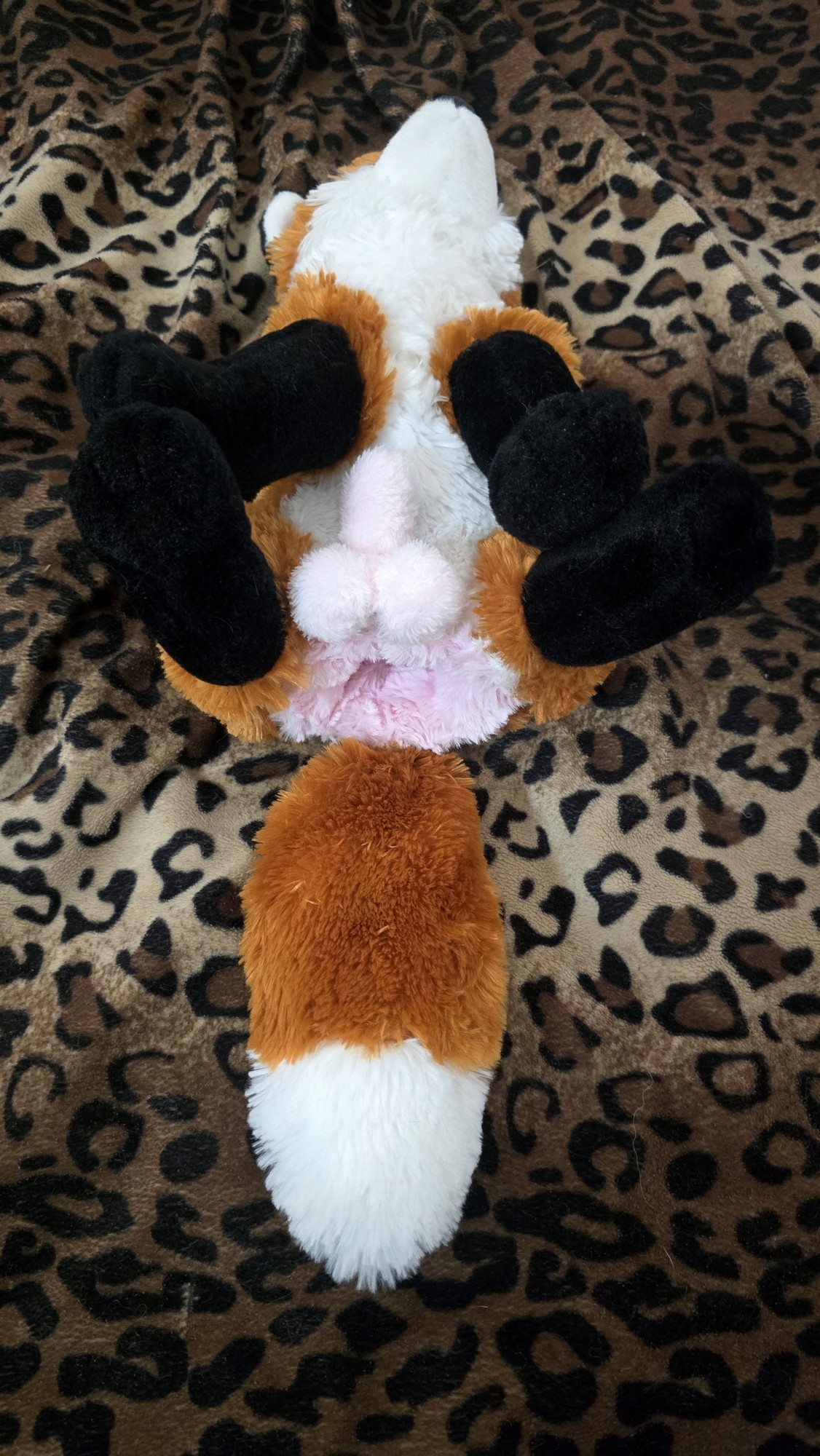 20251103_211251 (Copy)