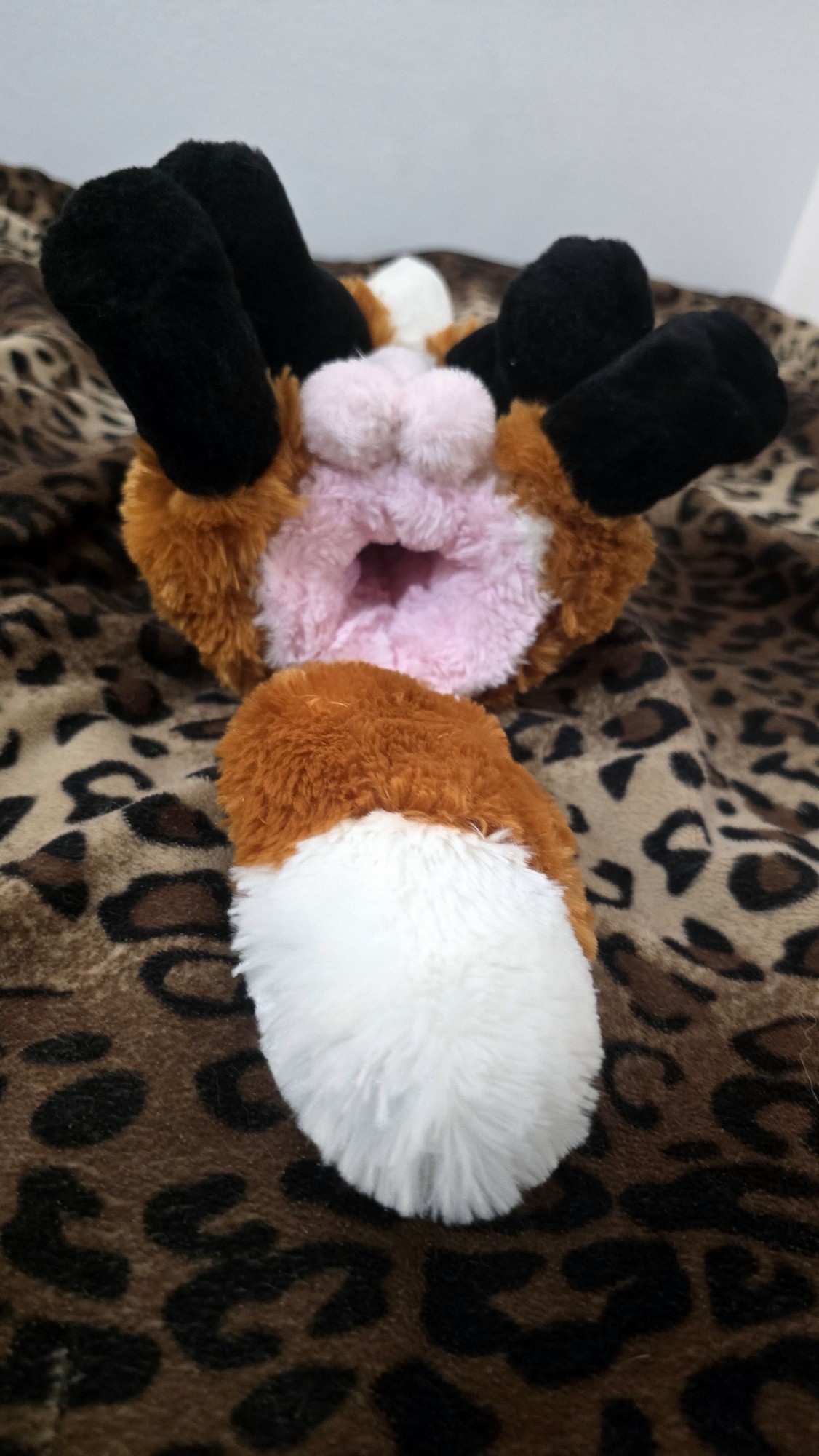 20251103_211300(0) (Copy)