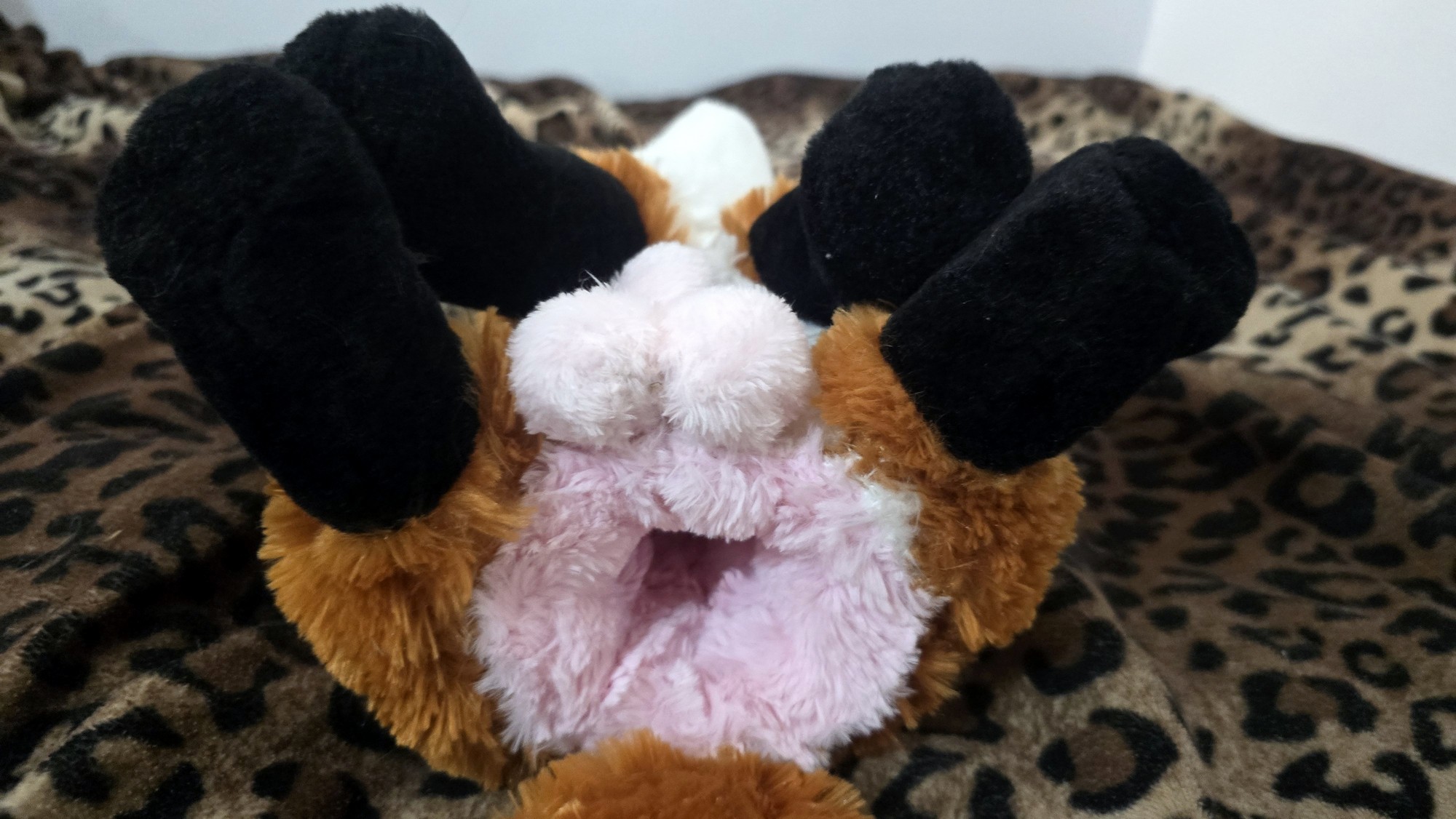 20251103_211304(0) (Copy)