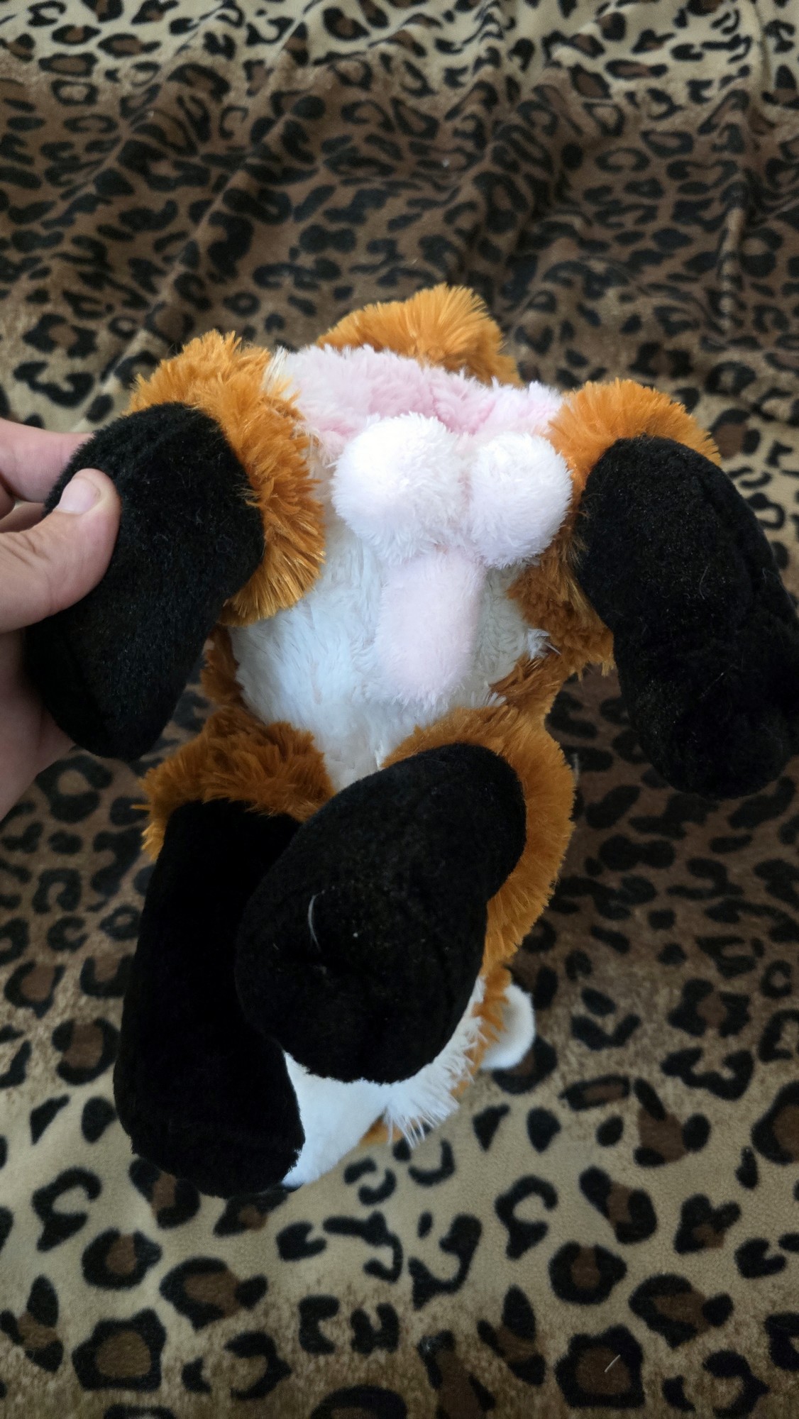 20251103_211352 (Copy)