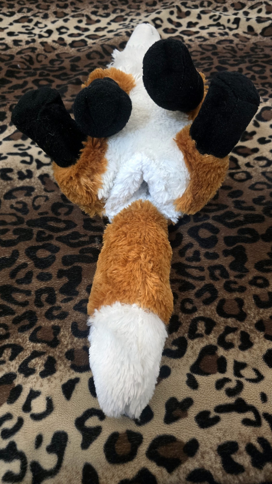 20251104_192824(0) (Copy)