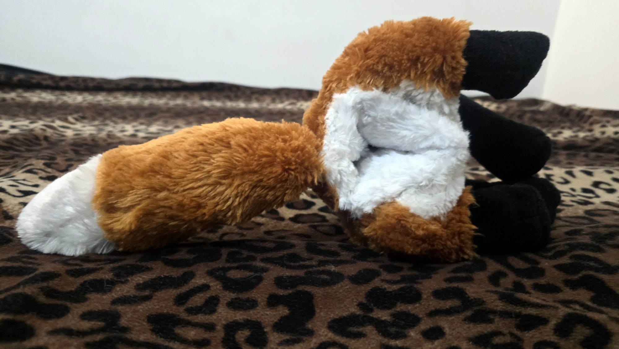 20251104_192844 (Copy)