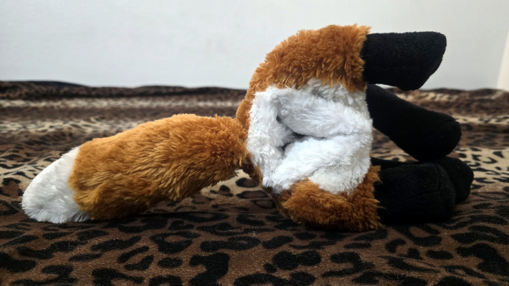 20251104_192846(0) (Copy)