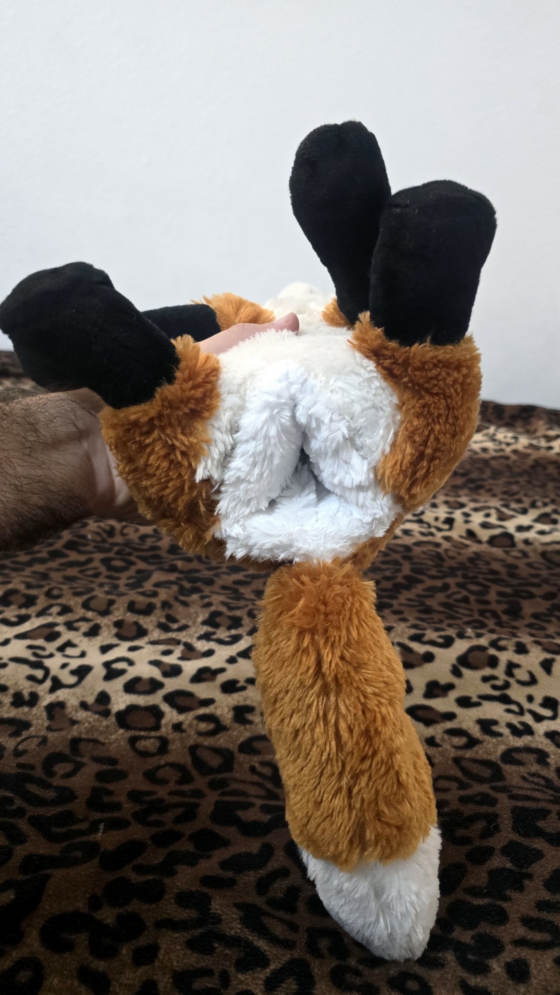 20251104_192906(0) (Copy)