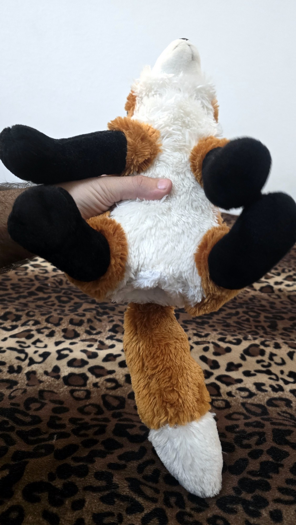 20251104_192907 (Copy)