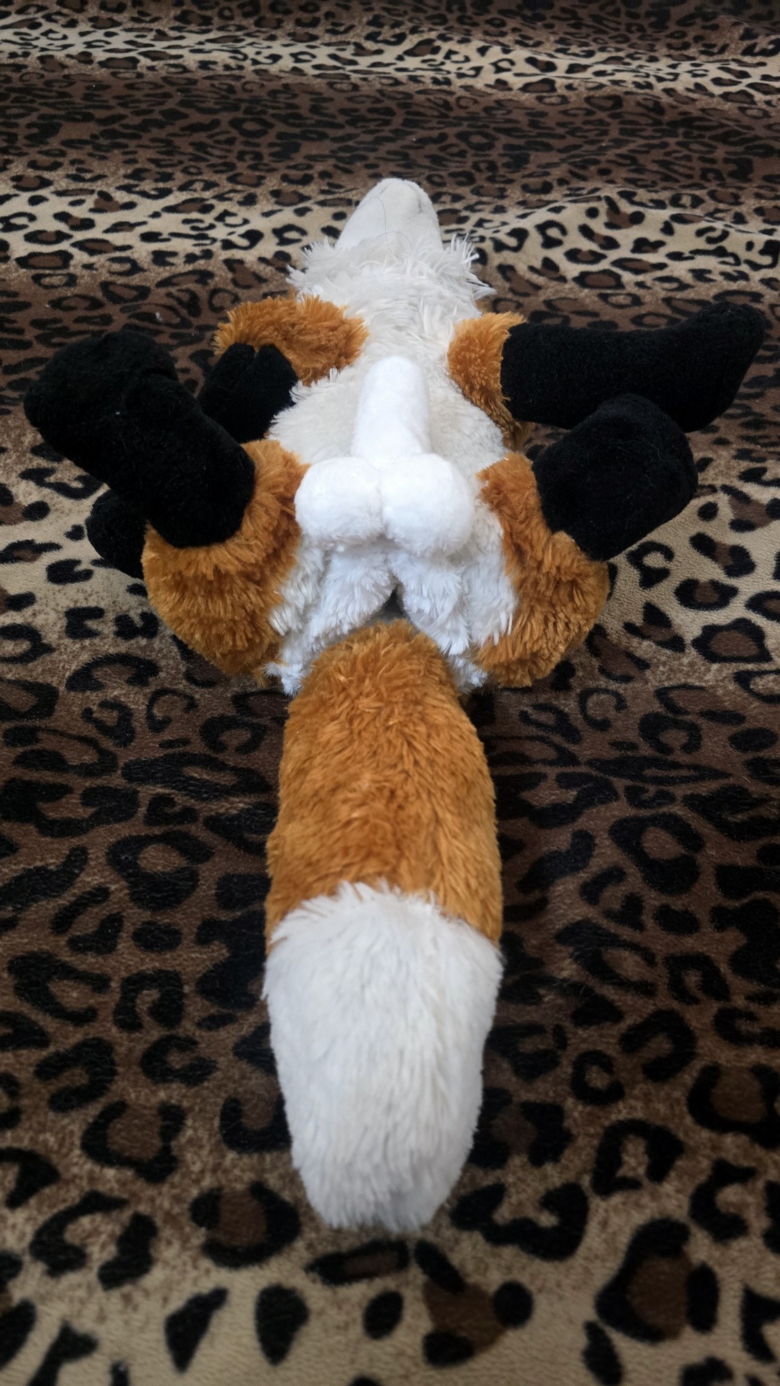 20251104_204614 (Copy)