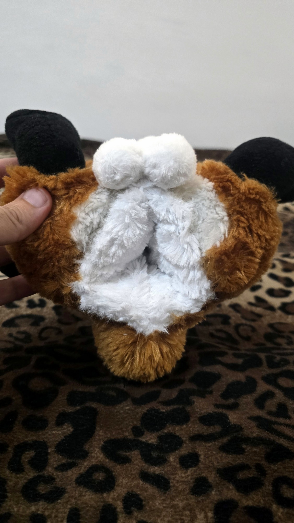 20251104_204625 (Copy)