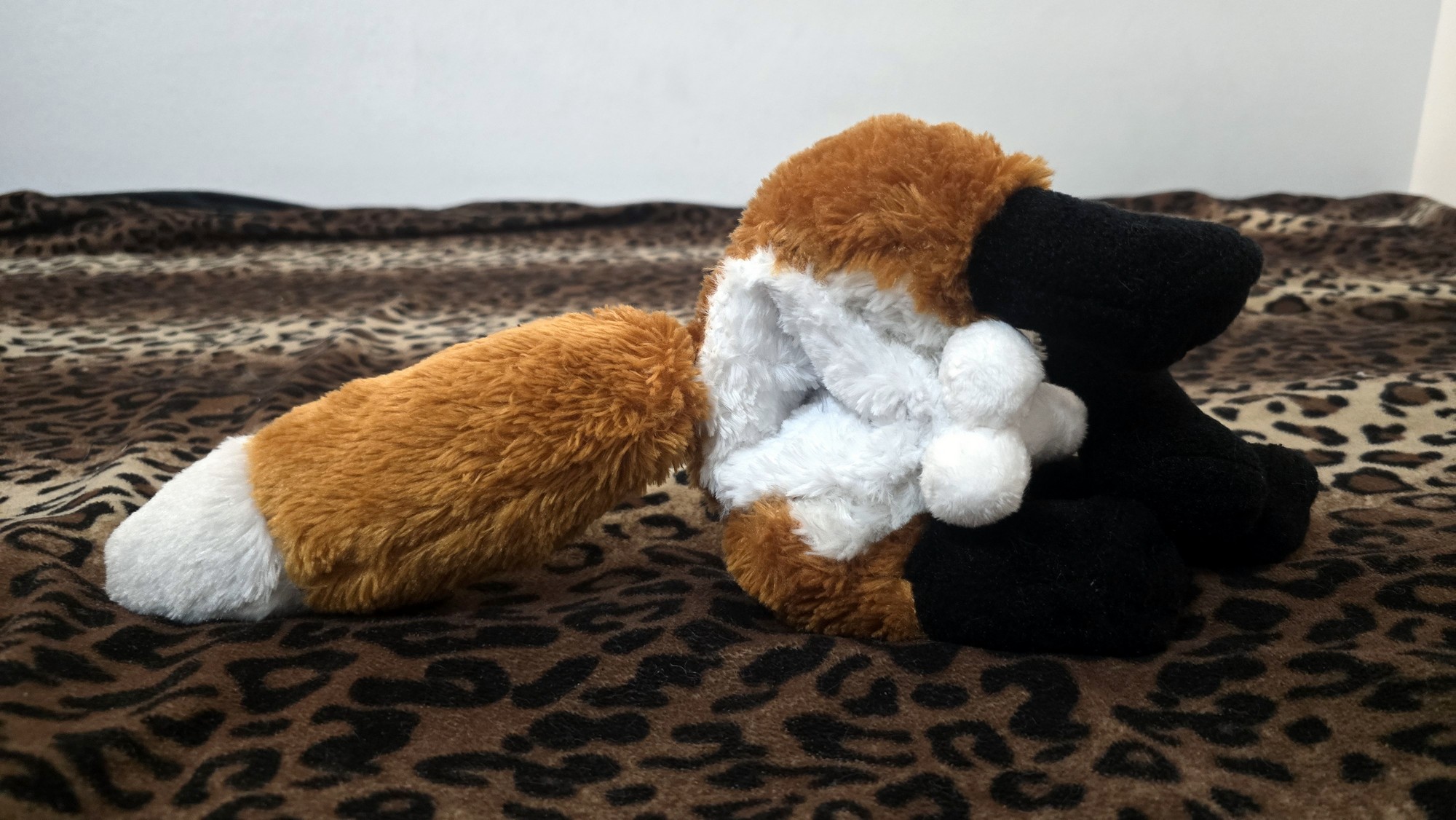 20251104_204629 (Copy)