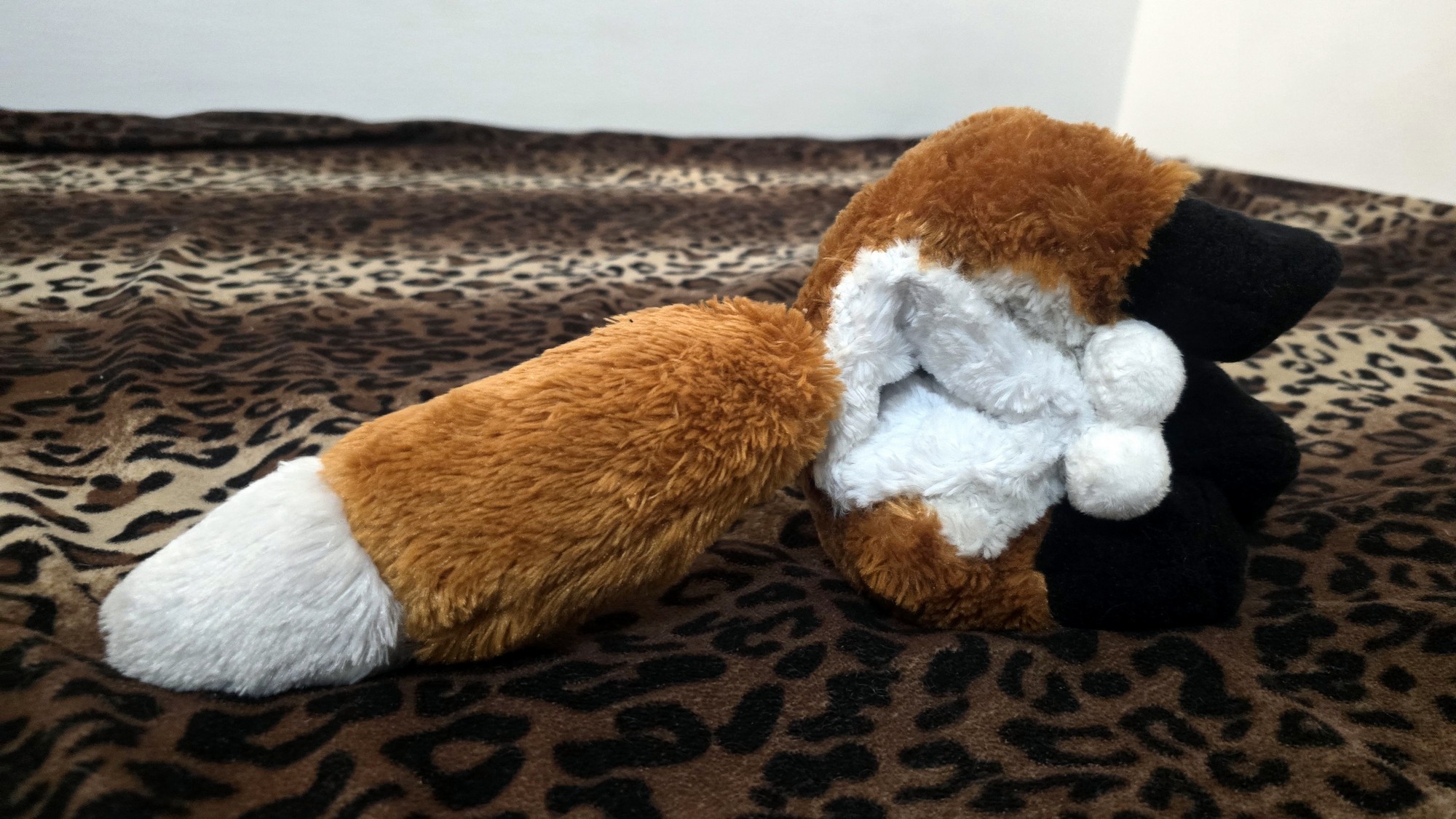 20251104_204631 (Copy)