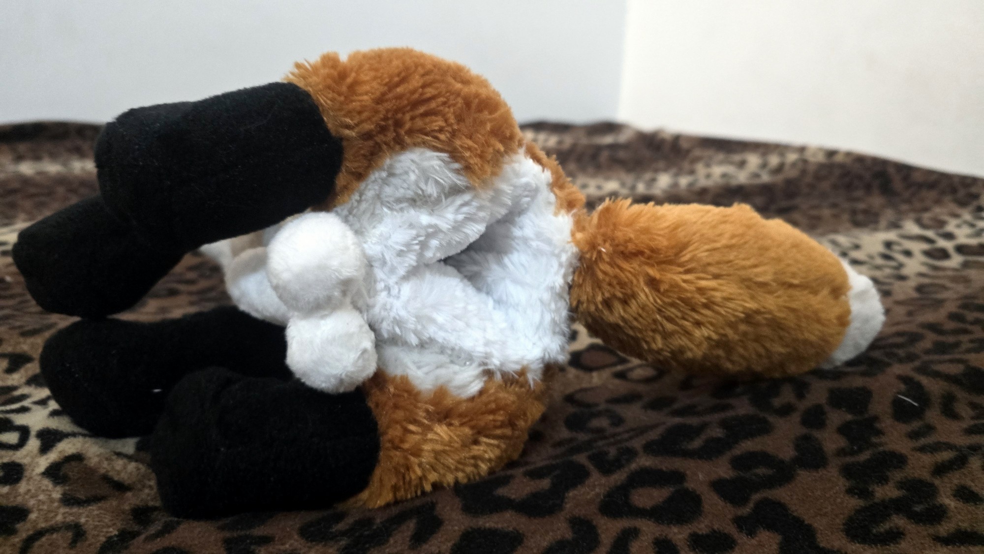 20251104_204634 (Copy)