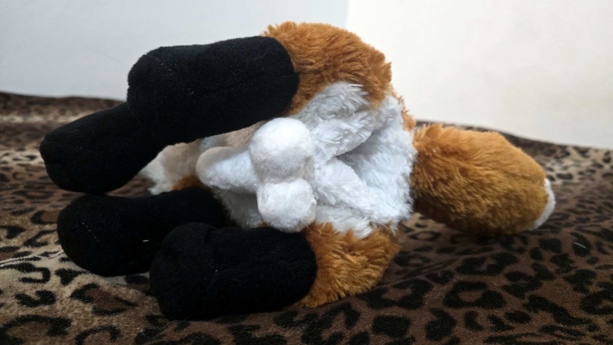 20251104_204638 (Copy)