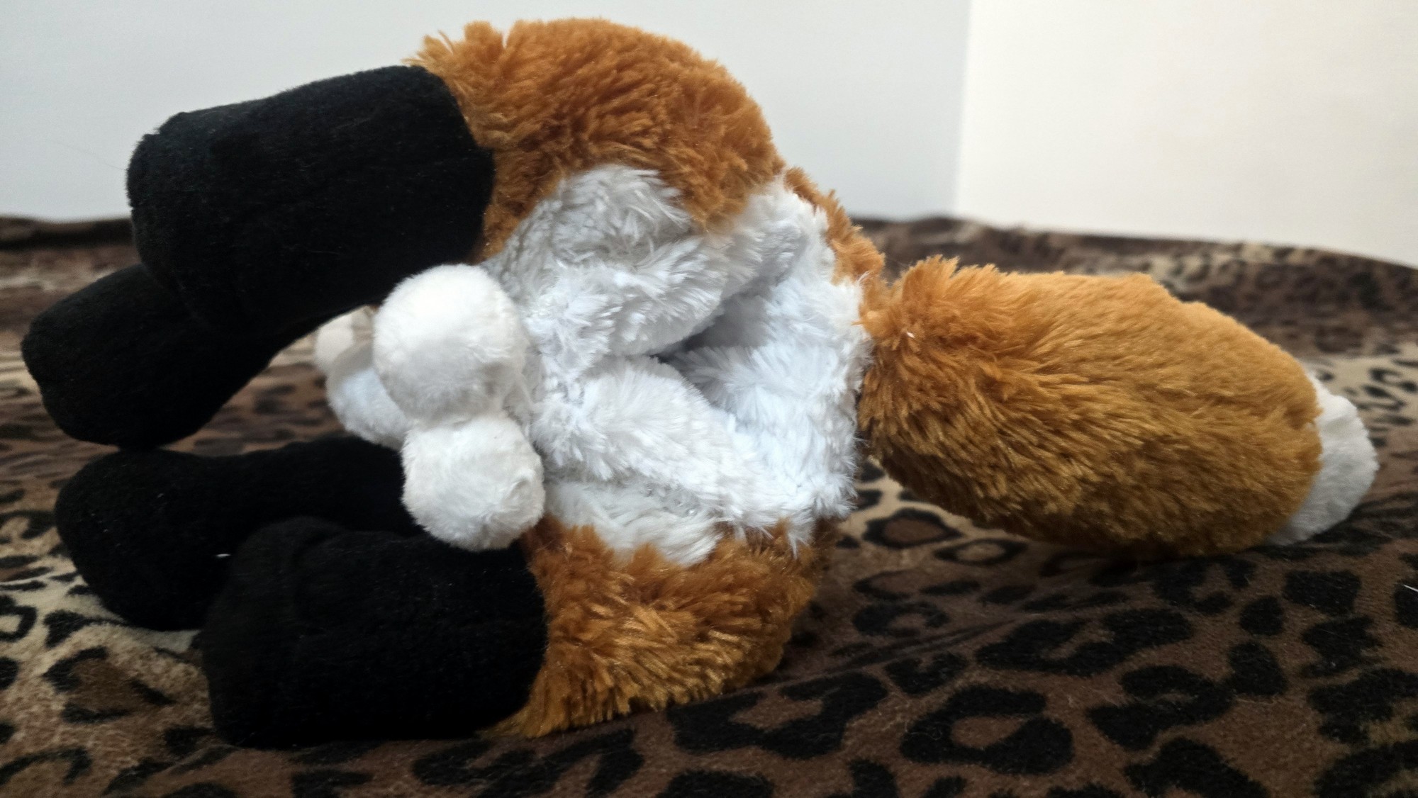 20251104_204639 (Copy)