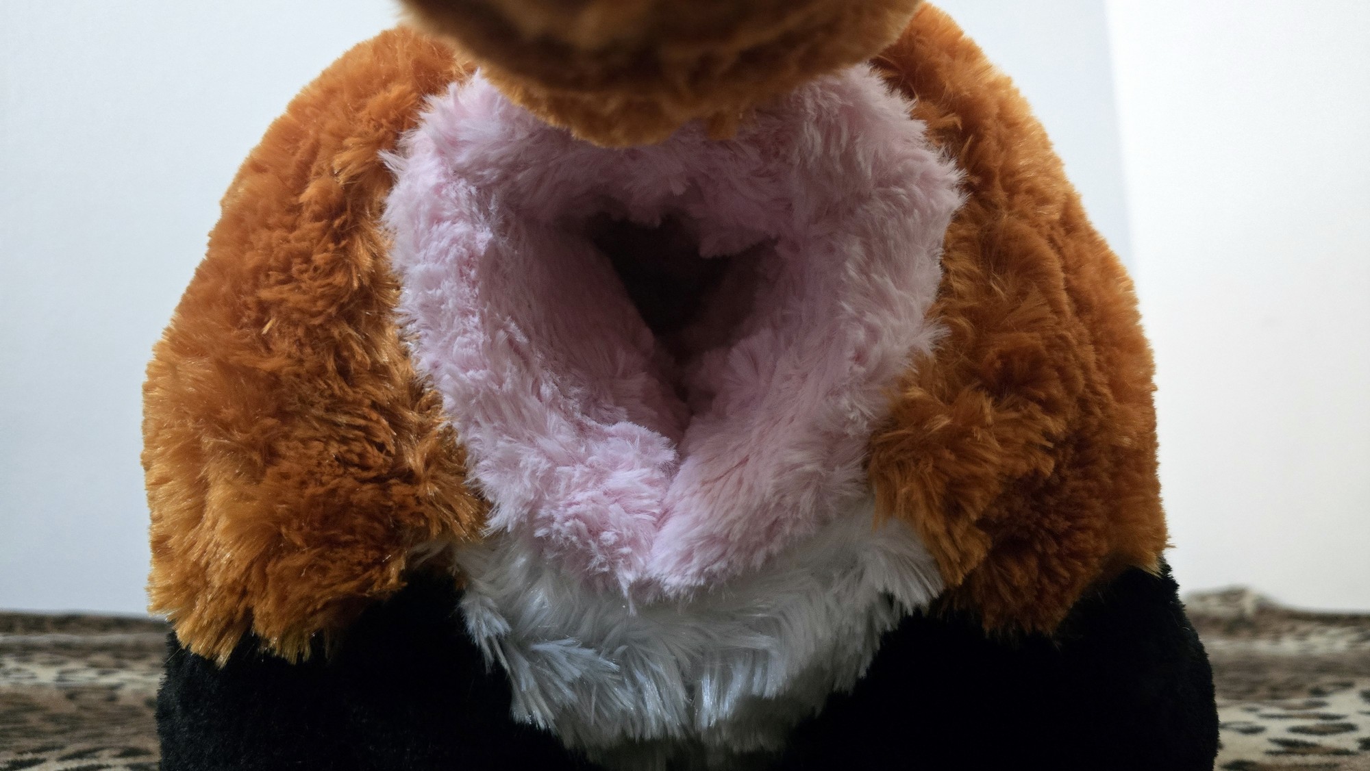 20251106_192516 (Copy)