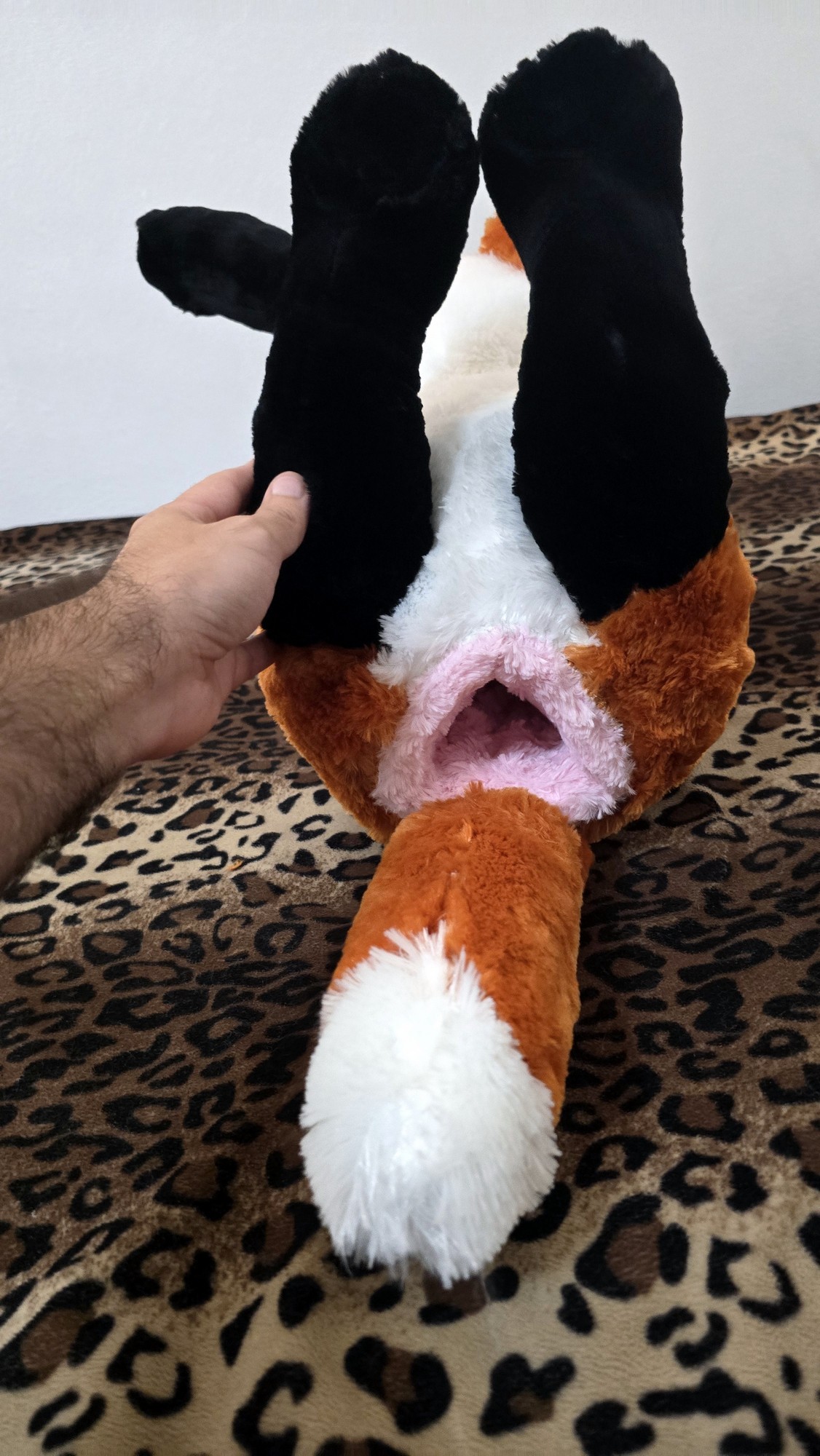 20251106_192526(0) (Copy)