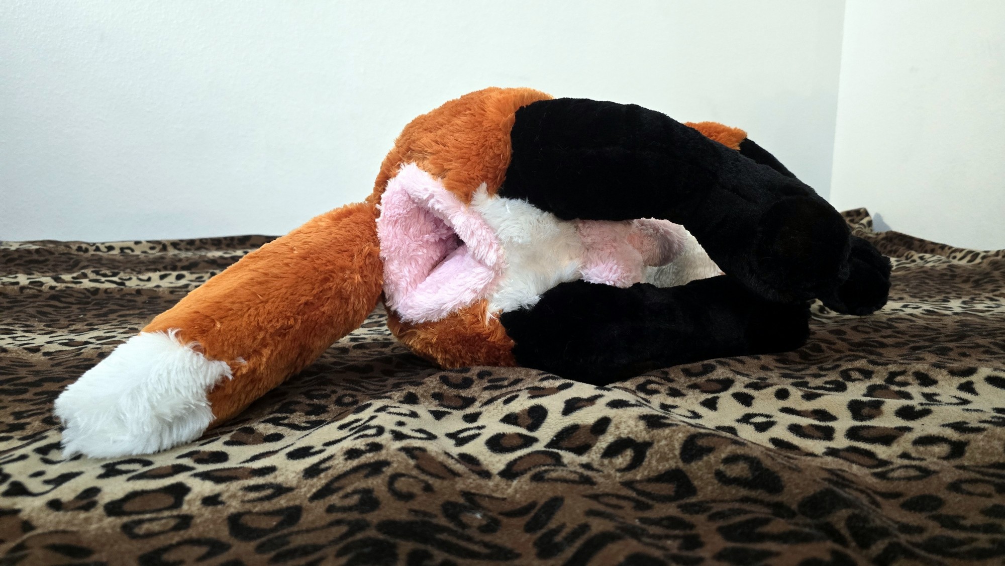 20251106_210455 (Copy)