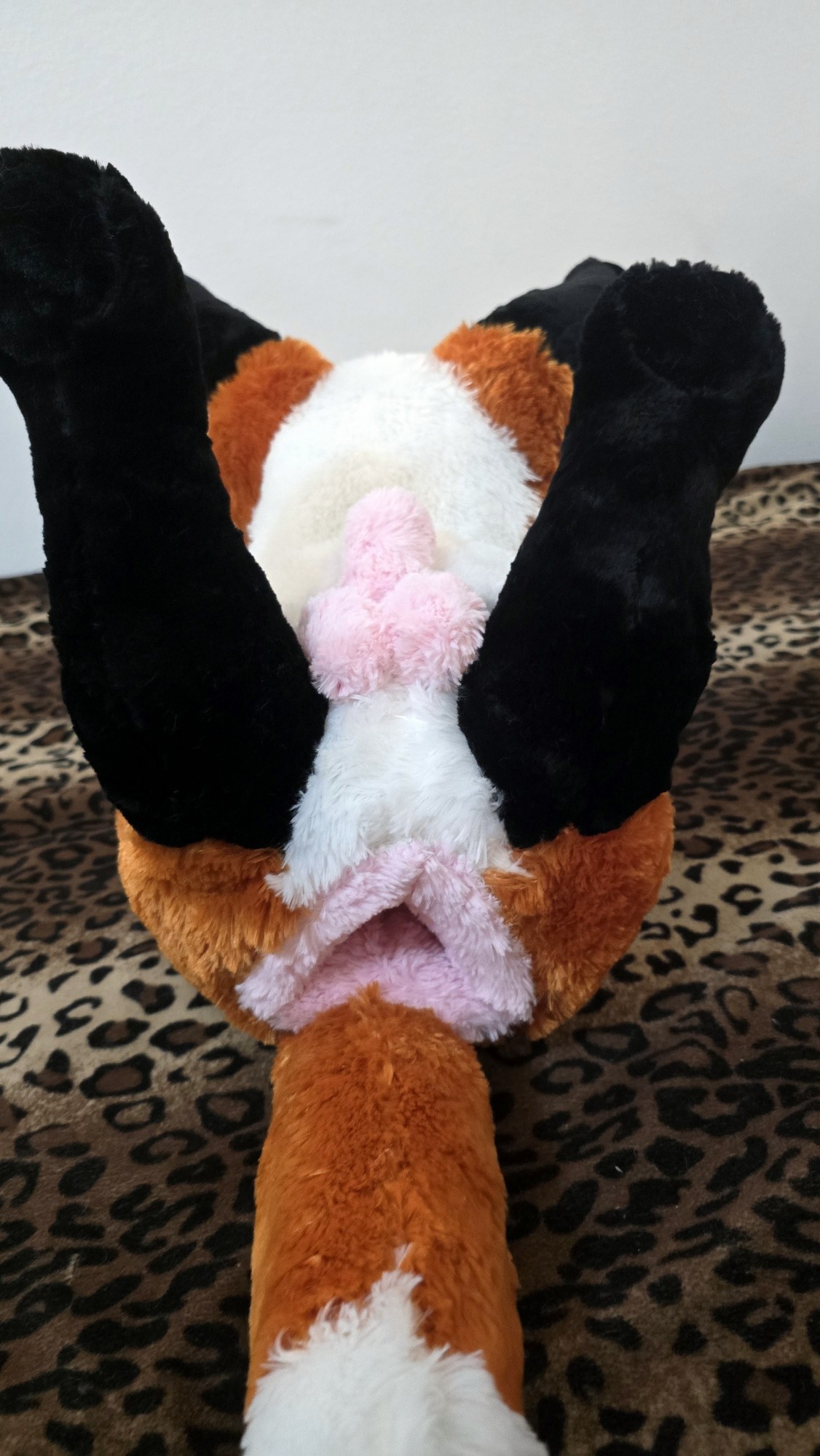 20251106_210508 (Copy)