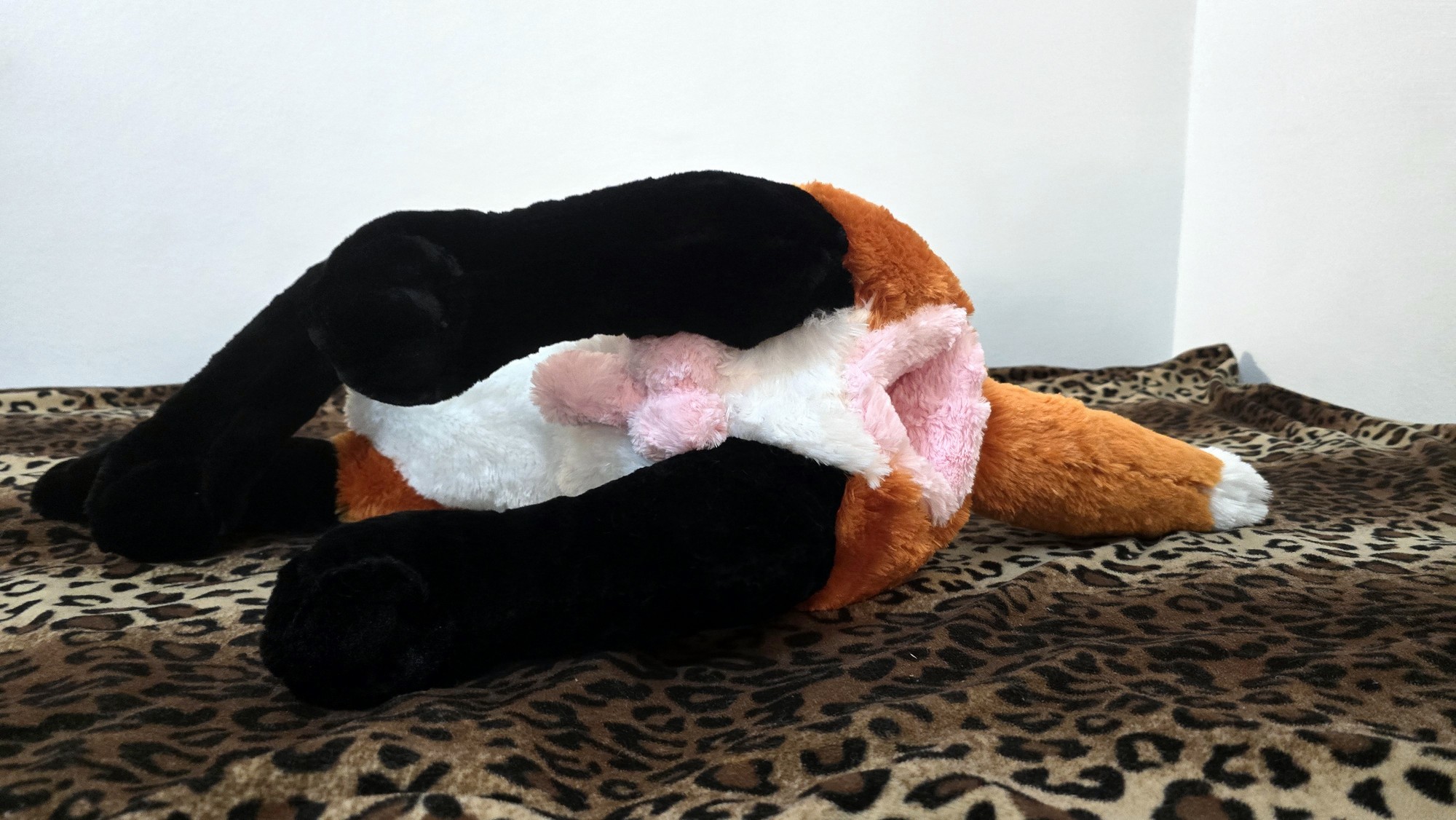 20251106_210512 (Copy)