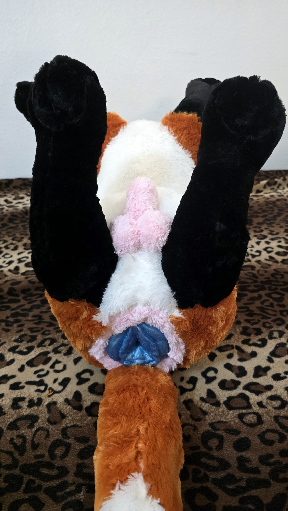 20251106_210628 (Copy)