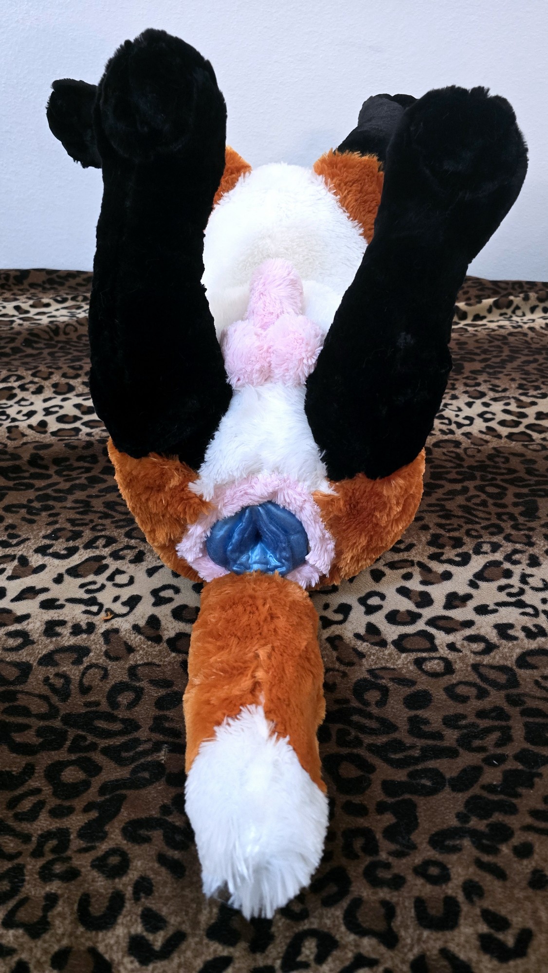 20251106_210630(0) (Copy)