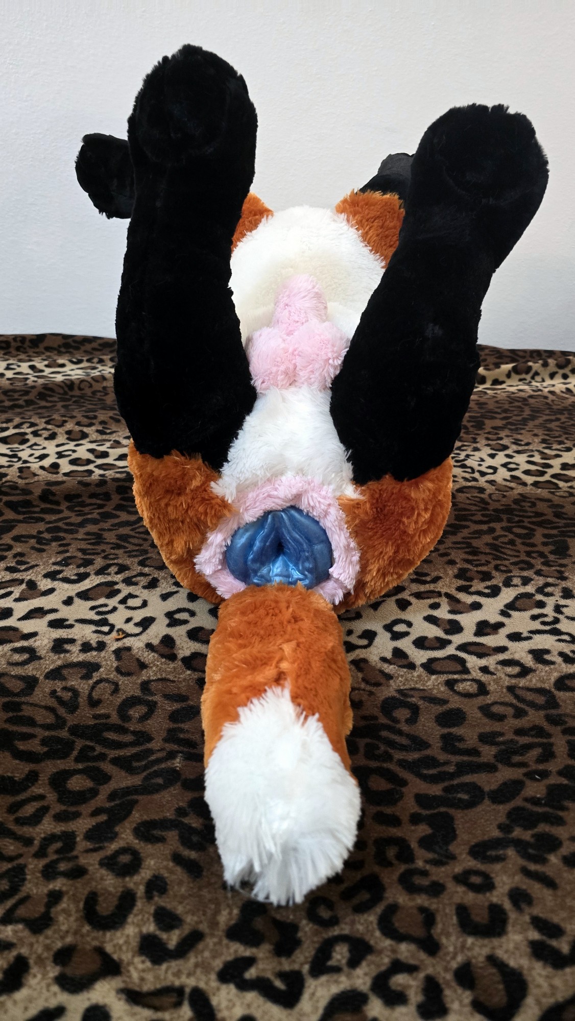 20251106_210632 (Copy)