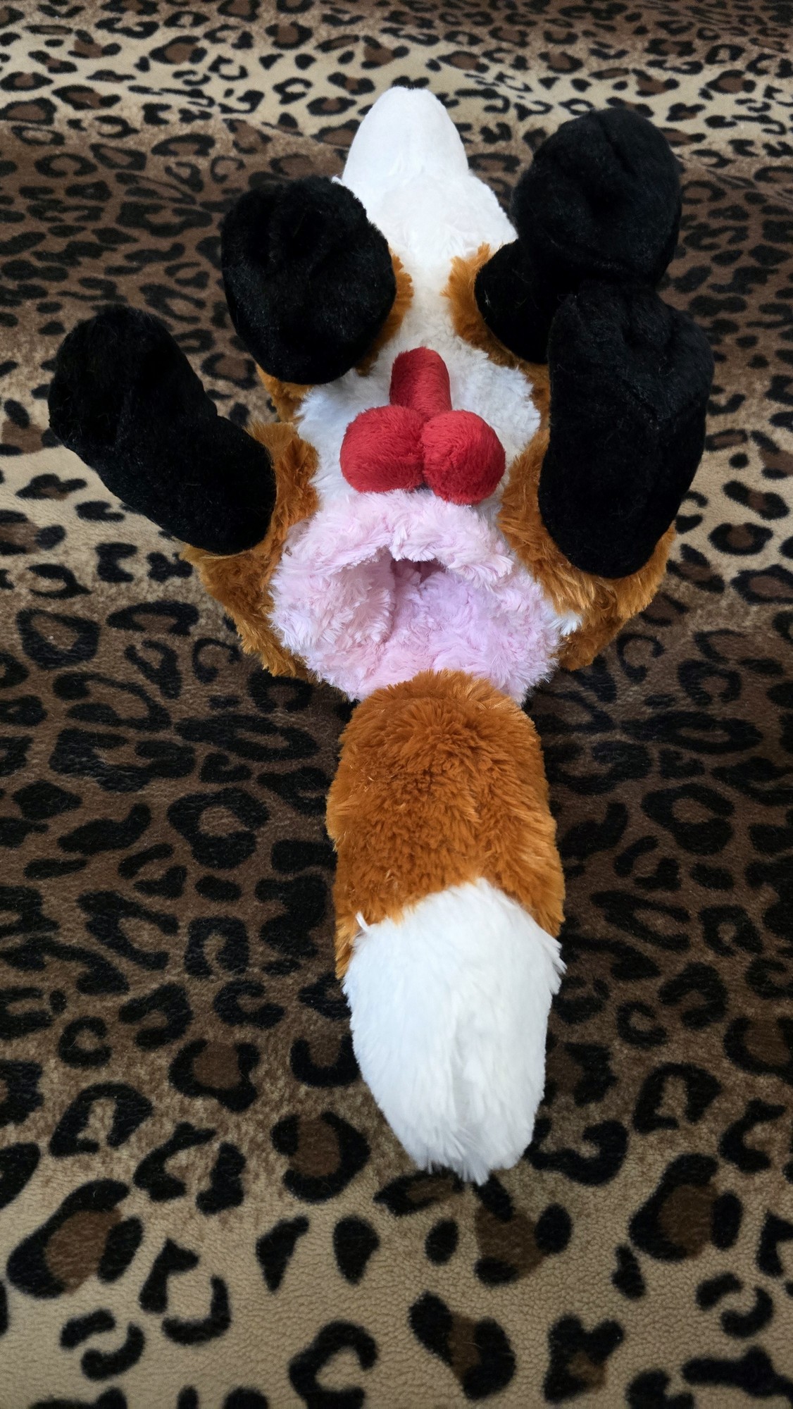 20251111_170724(0) (Copy)