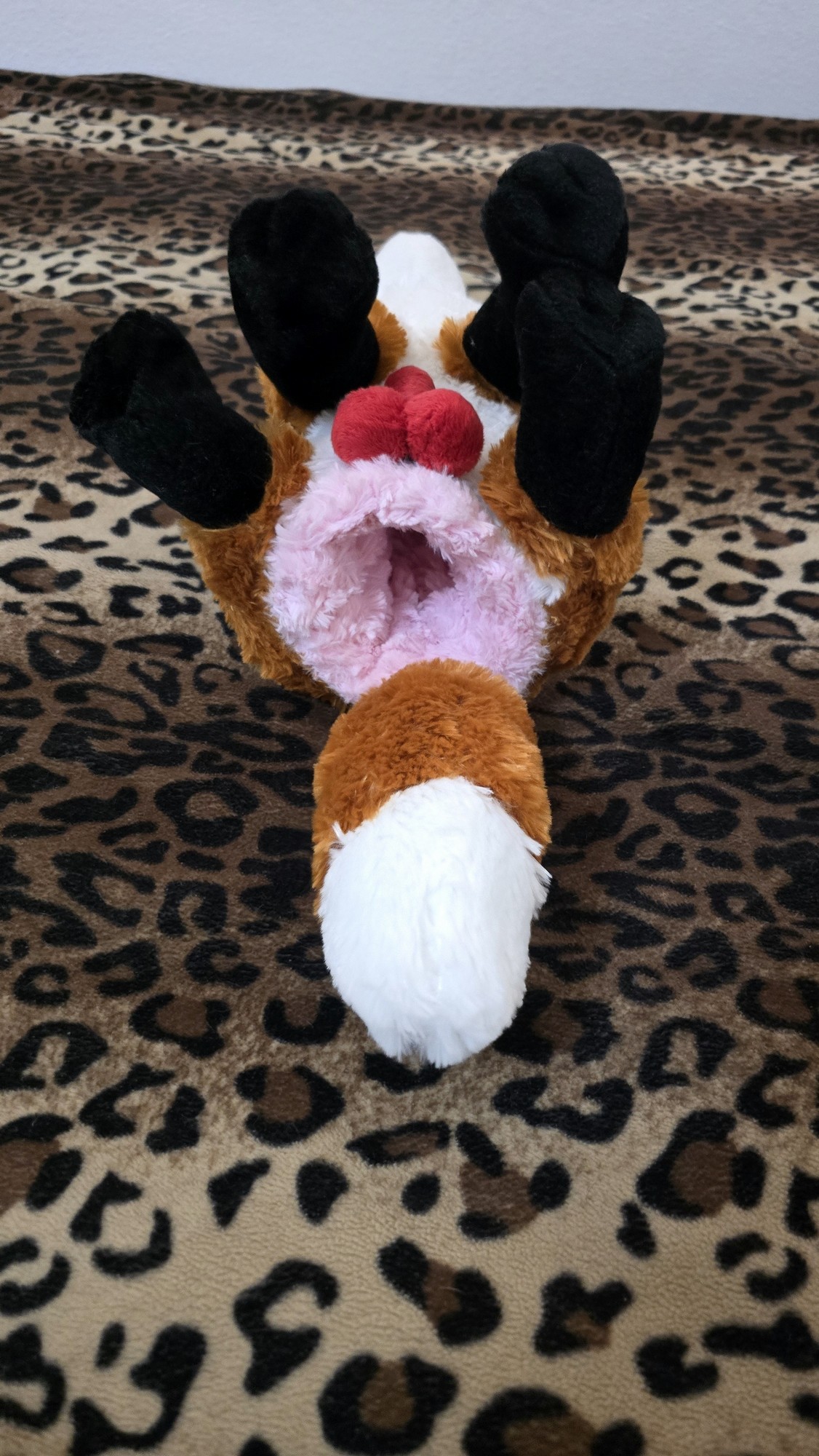 20251111_170726 (Copy)