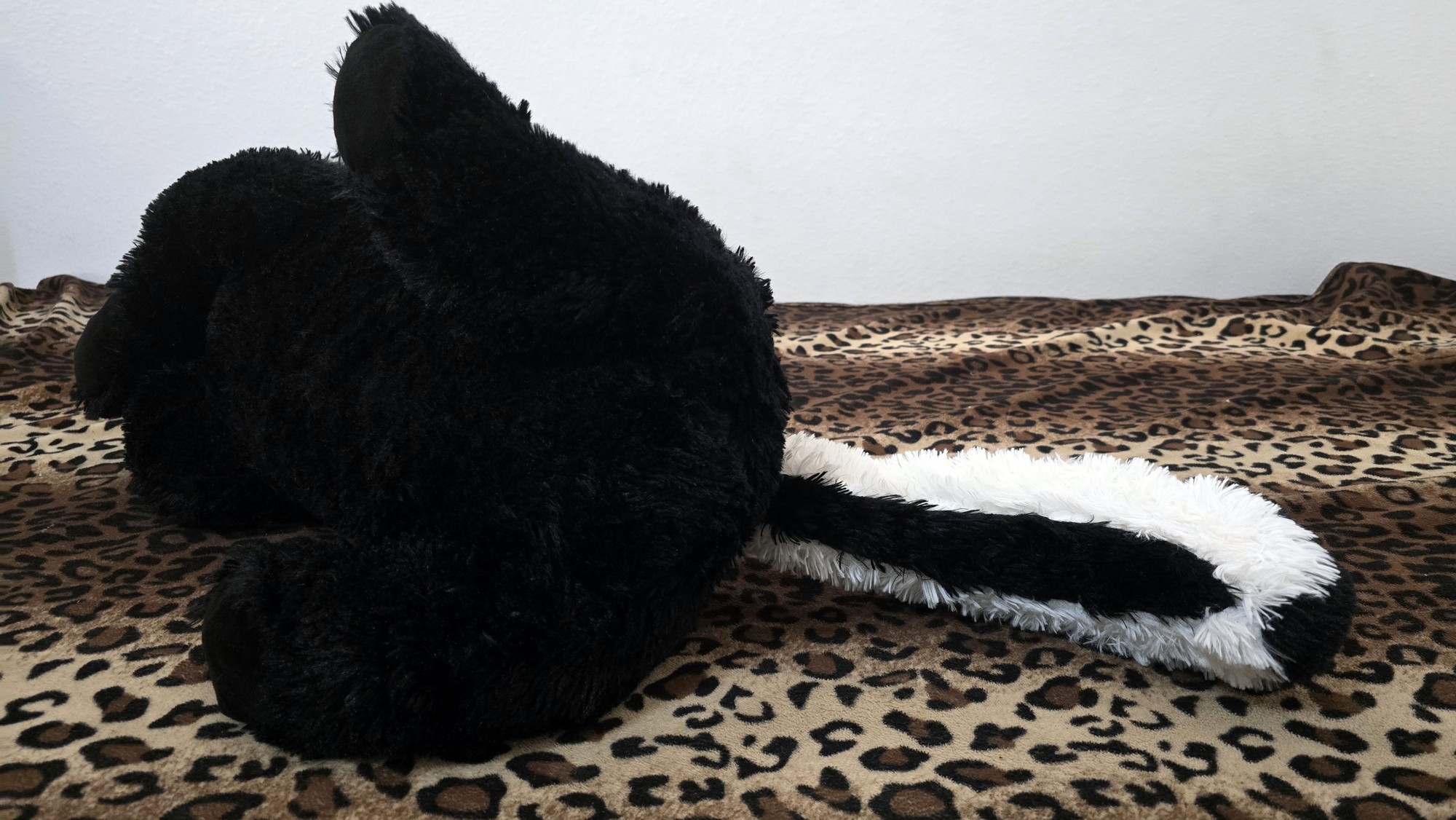 20251112_114647(0) (Copy)