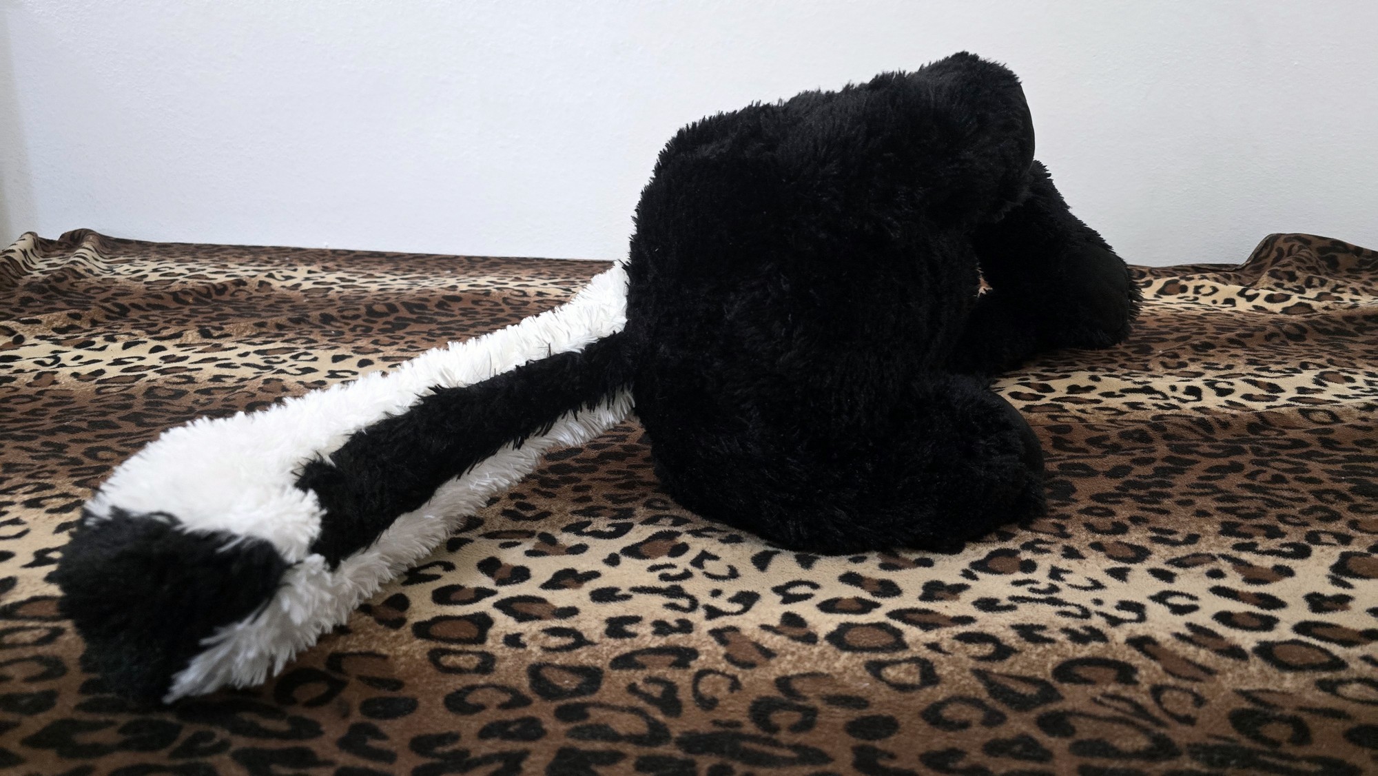 20251112_114653 (Copy)