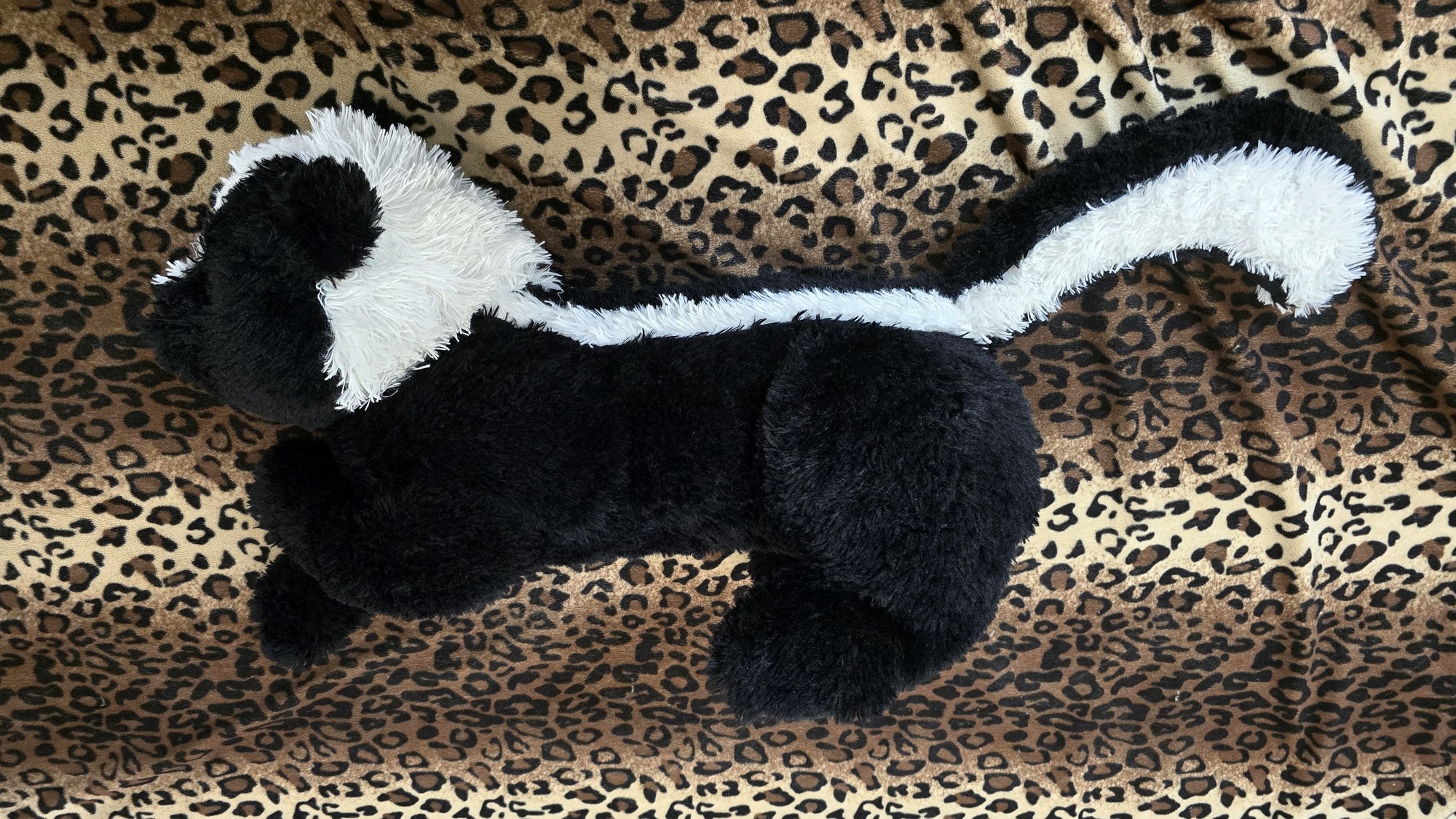 20251112_114710 (Copy)