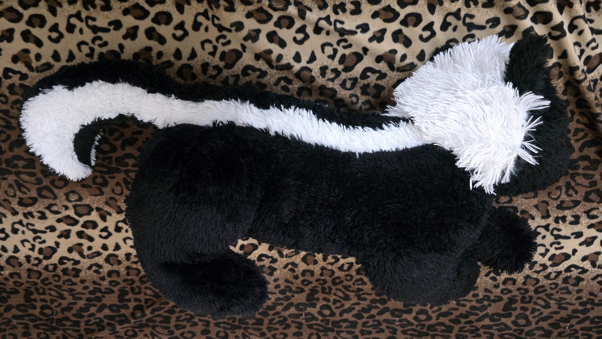 20251112_114720 (Copy)