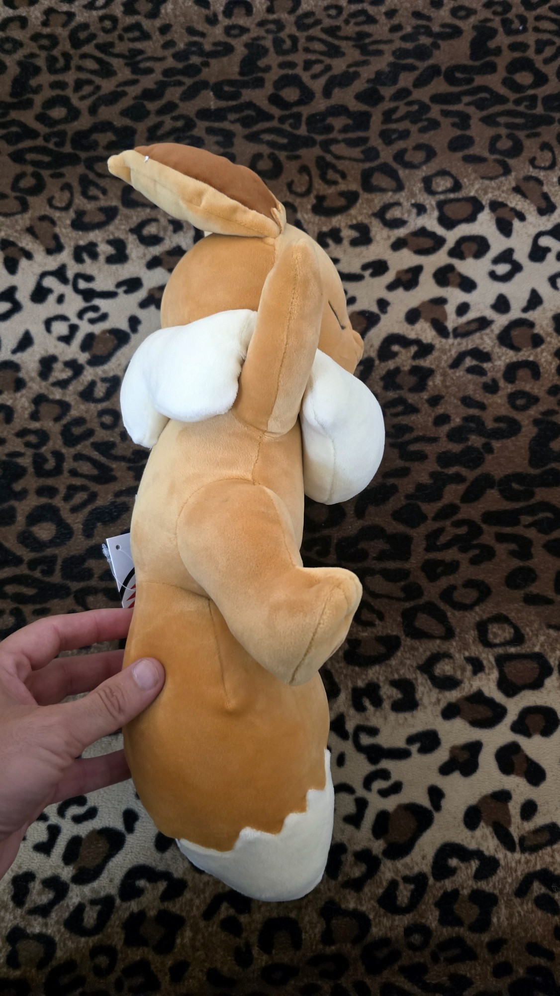 20251113_151001(0) (Copy)