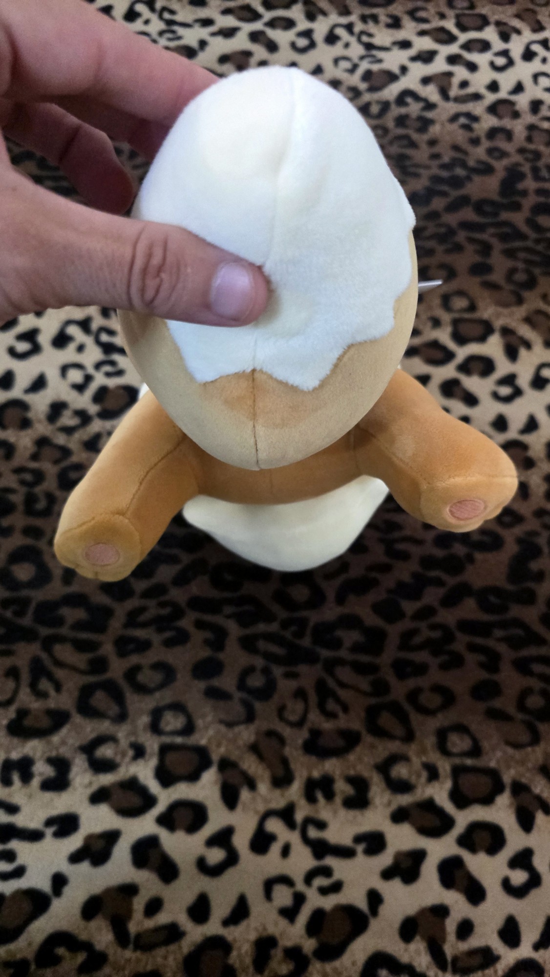 20251113_151010 (Copy)