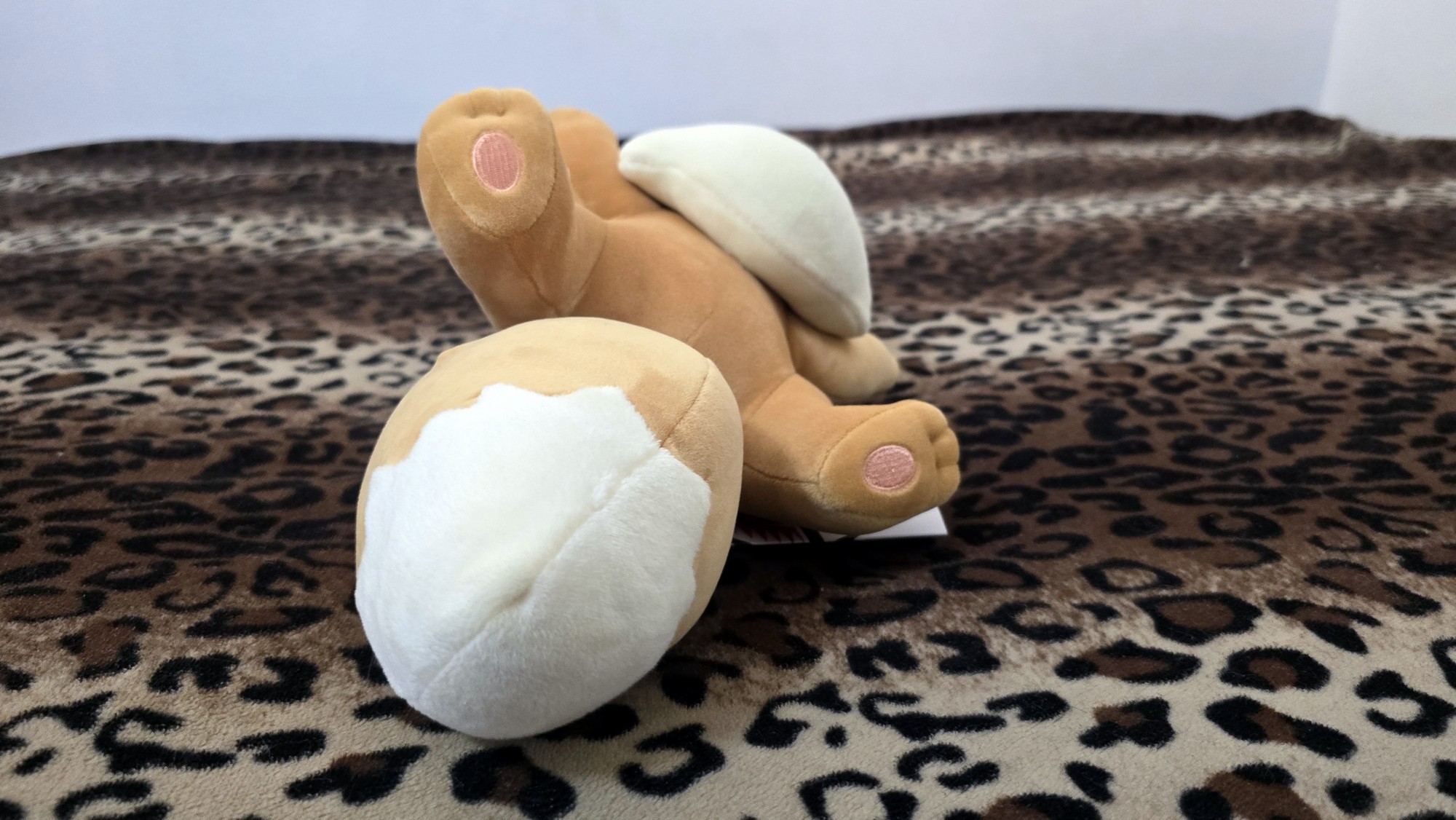 20251113_151018 (Copy)