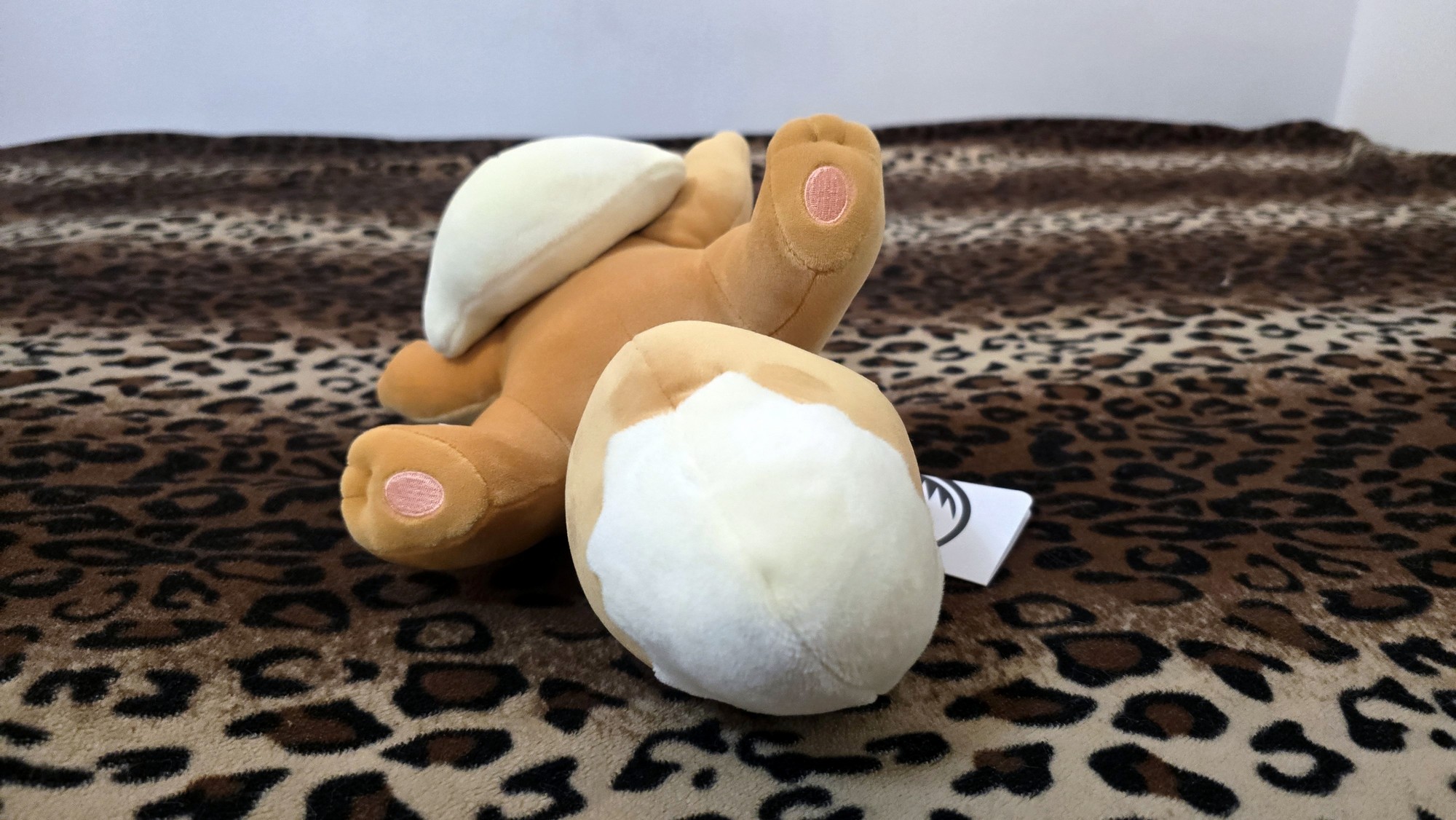 20251113_151022 (Copy)