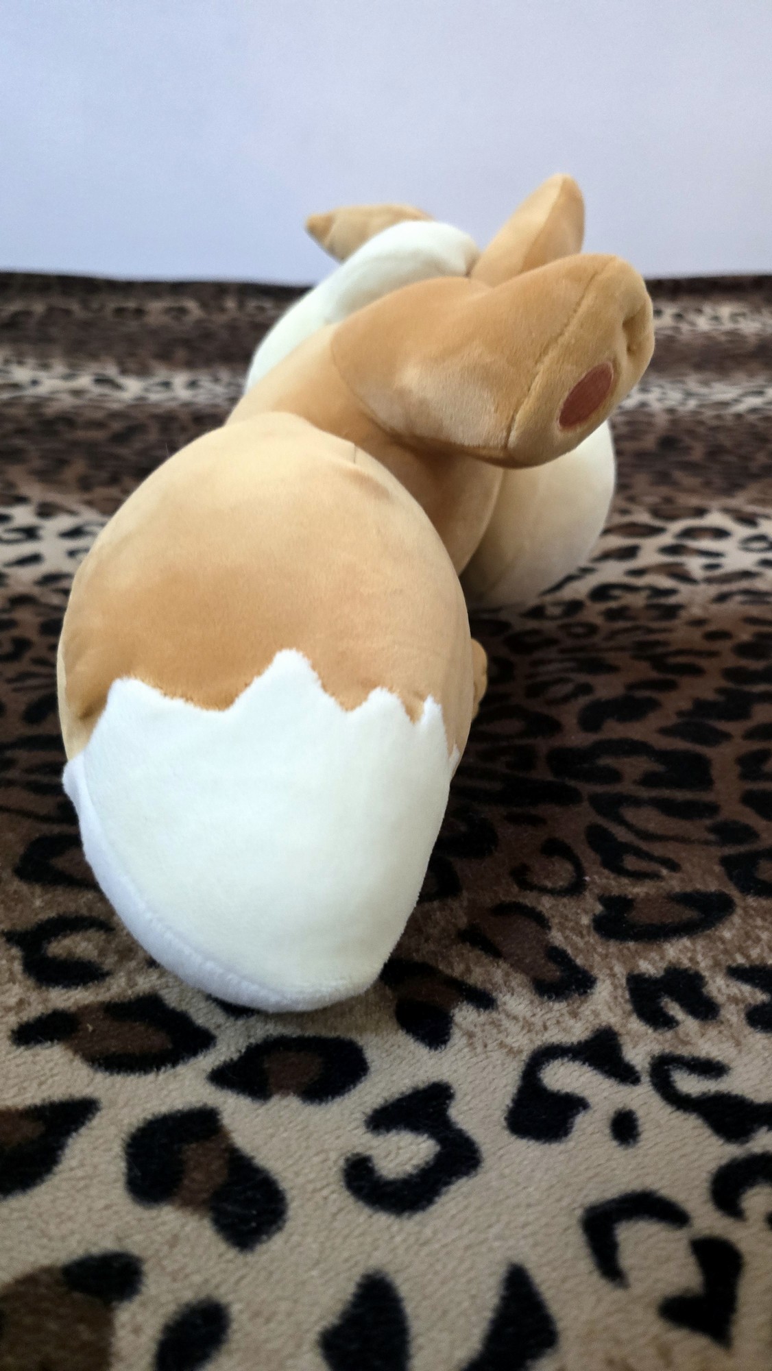 20251113_171246 (Copy)